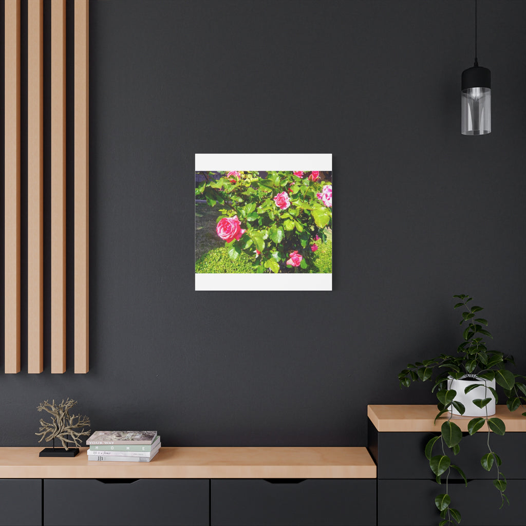 Floral Canvas Wall Art, Pink Rose Decor, Home Gallery Piece, Flower Photography, Garden Wall Decor, Floral Print