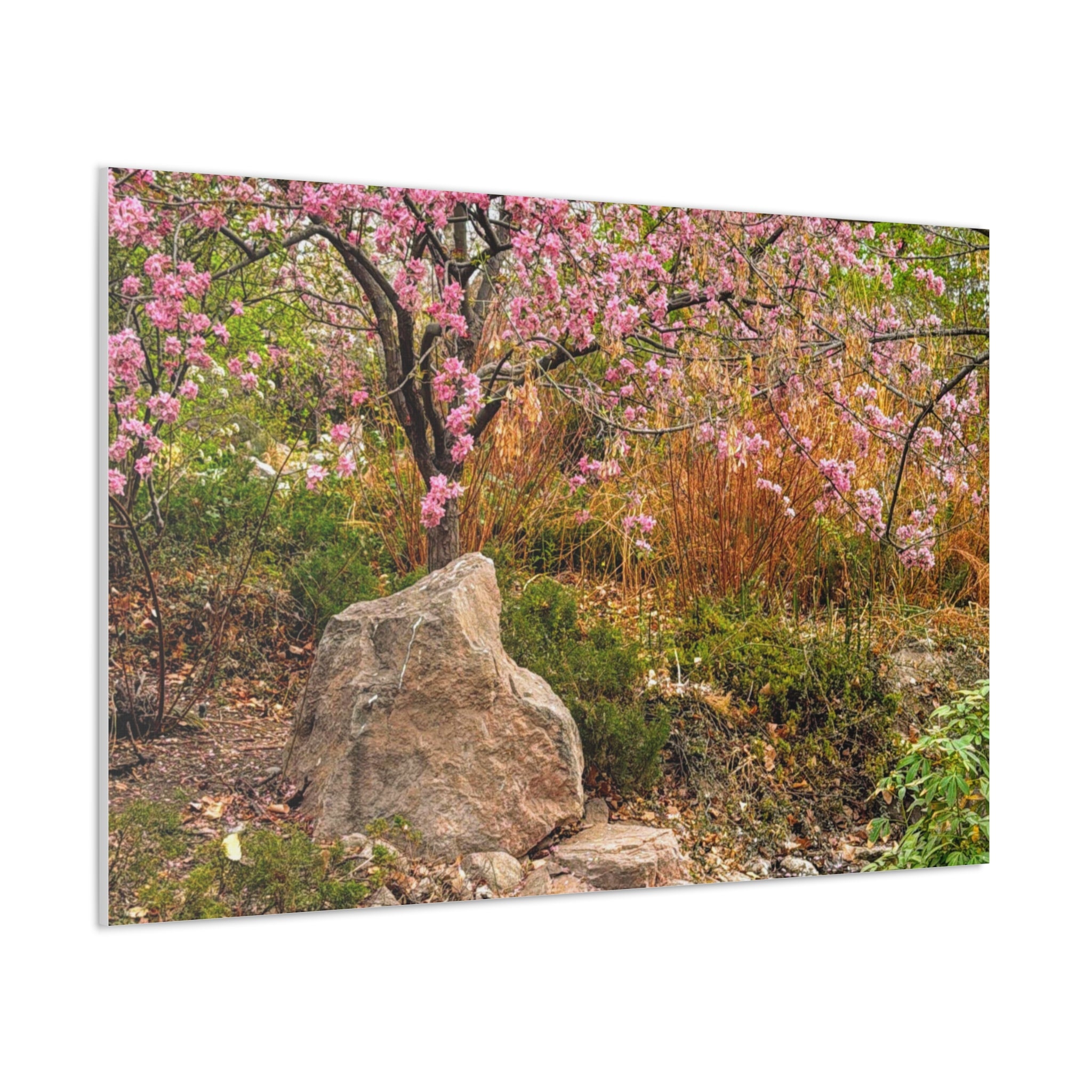 Canvas Wall Art, Pink Blossom Landscape Decor, Nature Photograph, Floral Print, Spring Home Decor, Gift for Nature Lovers