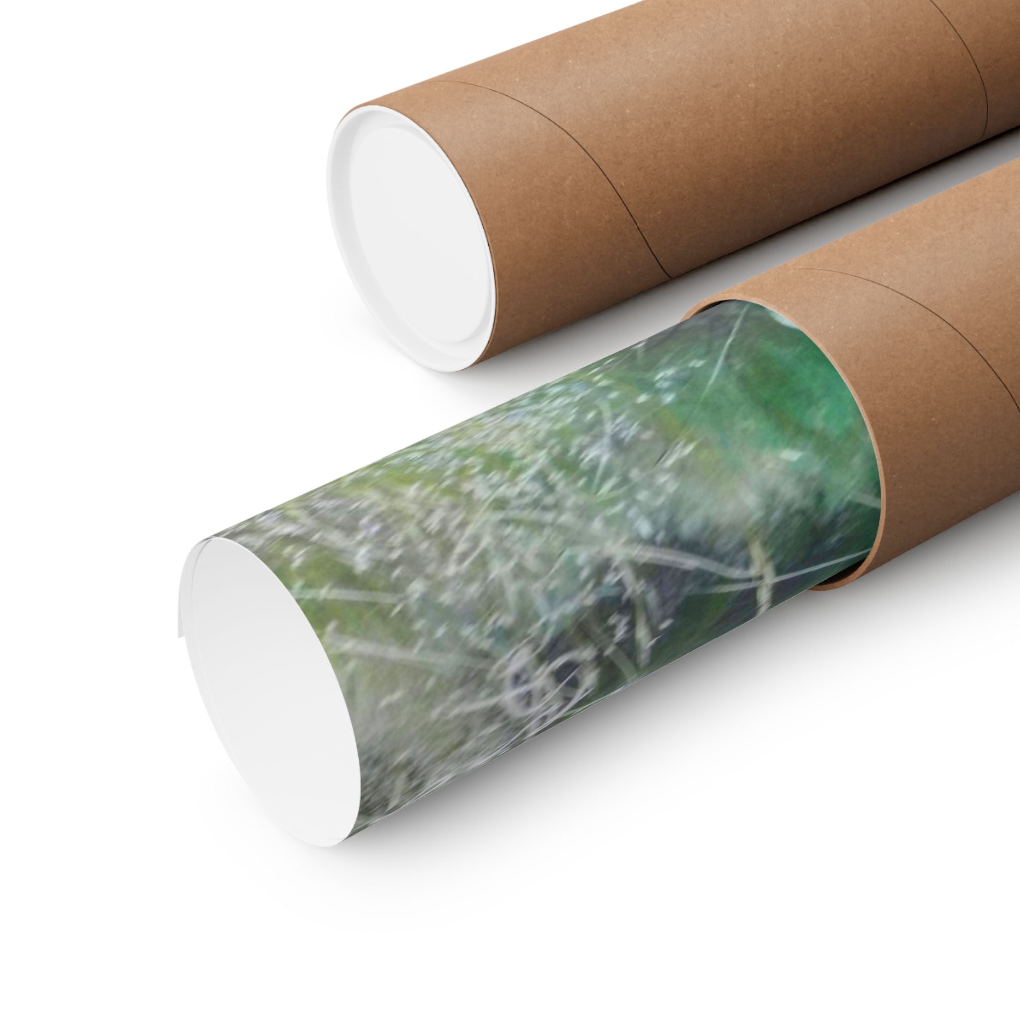 Nature-Inspired Matte Vertical Posters, Landscape Wall Art, Home Decor, Gift for Nature Lovers, Outdoor Aesthetic