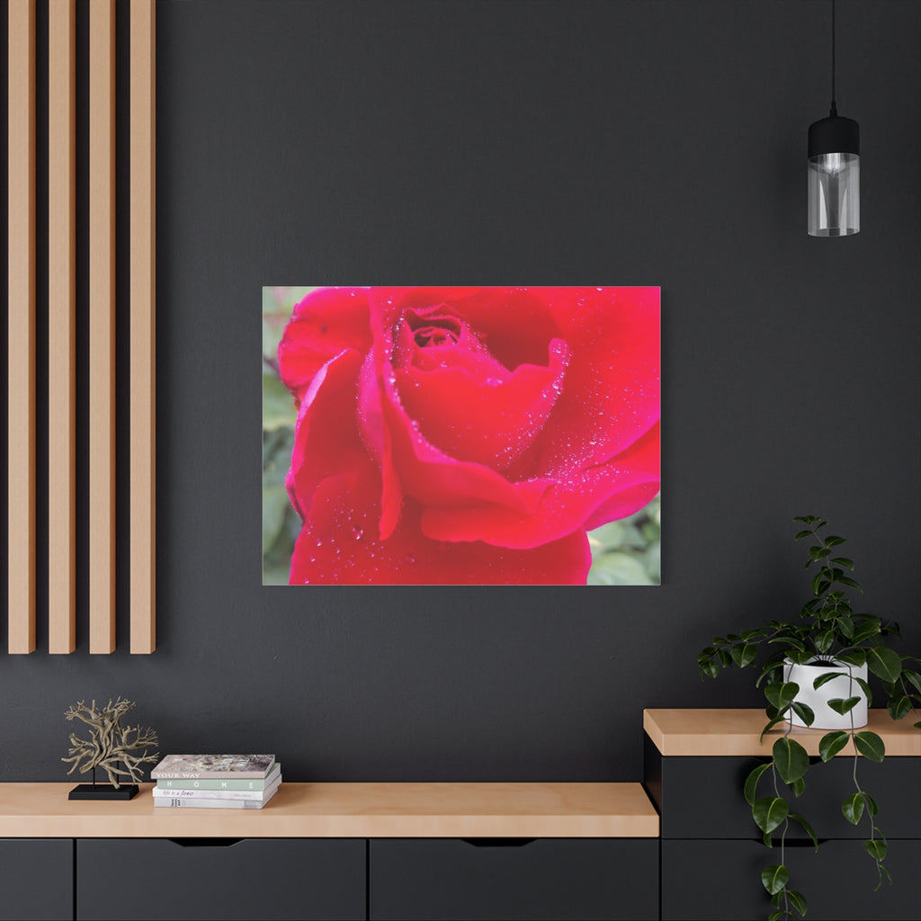 Stunning Floral Canvas Print, Home Decor, Wall Art, Gift for Flower Lovers, Red Rose Art, Mother's Day Gift
