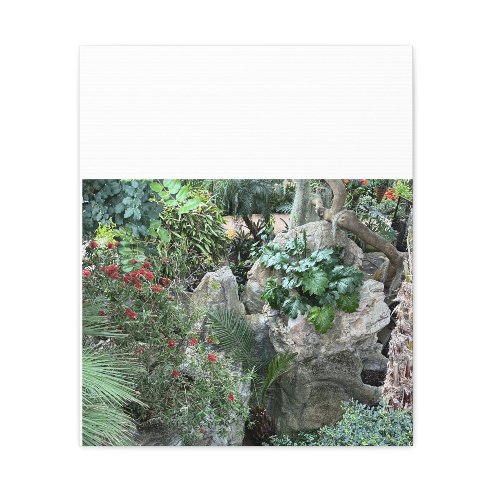 Nature-Inspired Wall Art, Canvas Print, Botanical Decor for Home, Greenery Art, Gift for Nature Lovers, Eco-Friendly Decoration