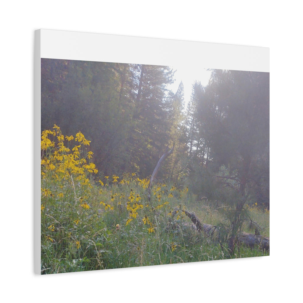 Matte Canvas, Stretched, 1.25"