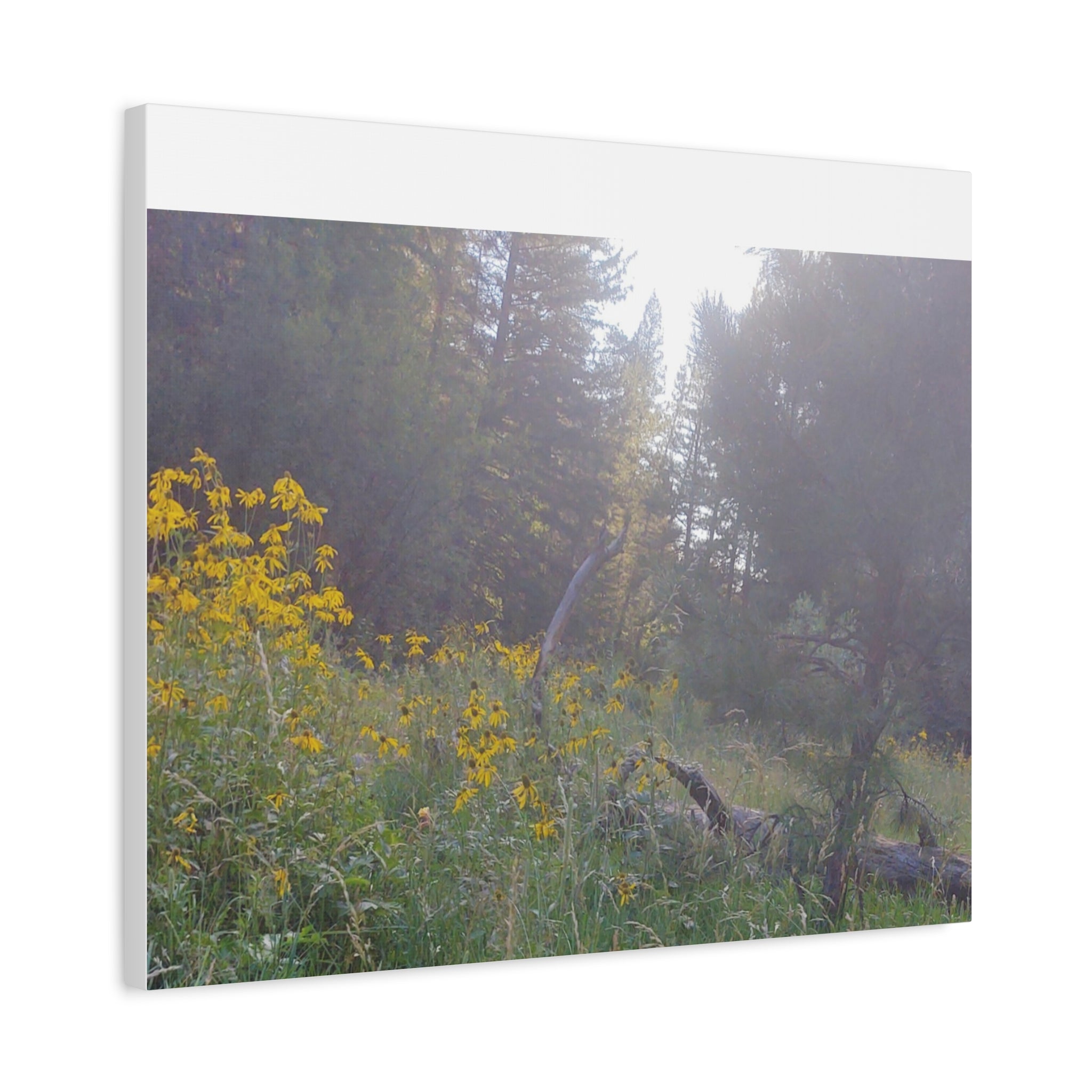 Matte Canvas, Stretched, 1.25"