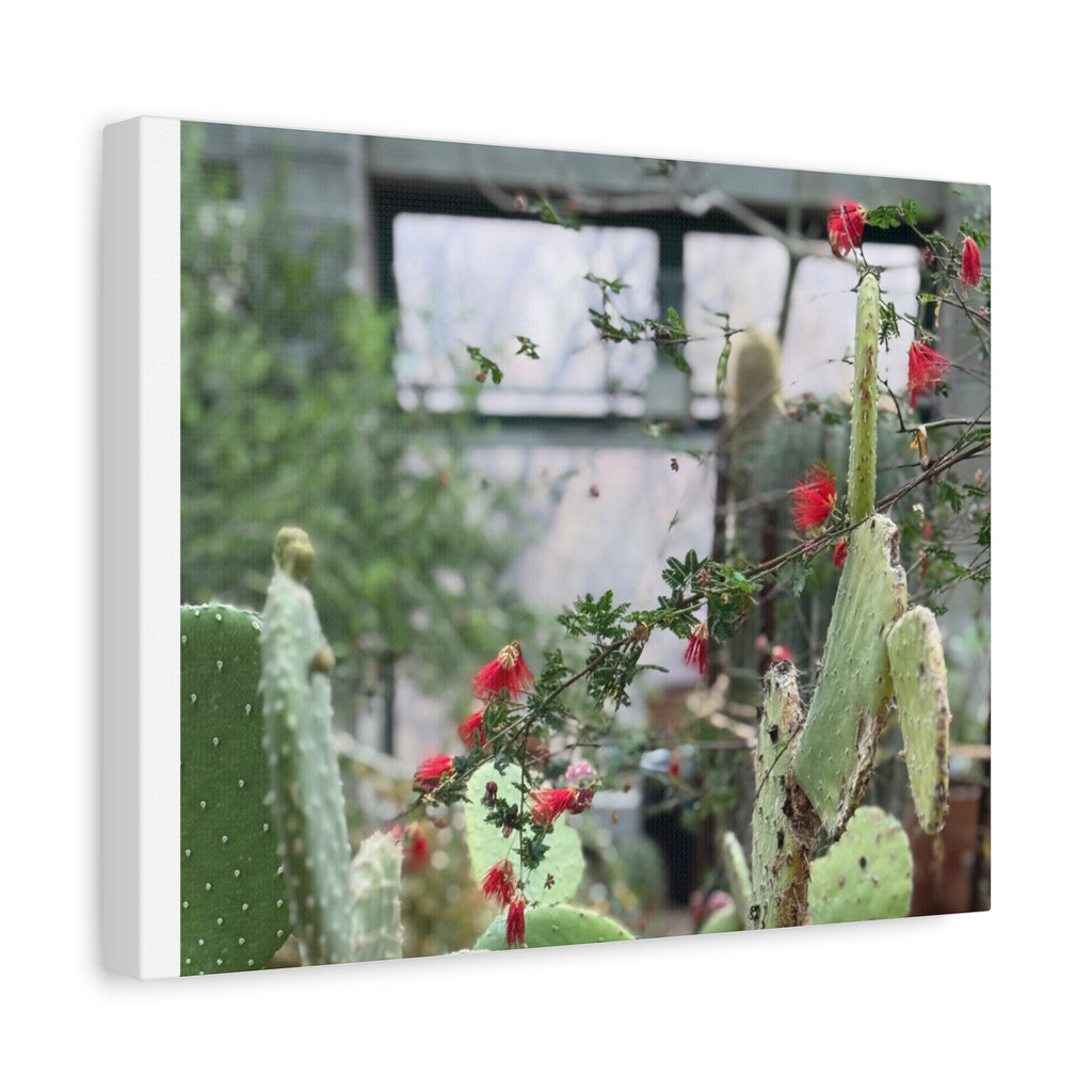 Cactus Wall Art Print, Nature Home Decor, Bohemian Style Artwork, Botanical Gift, Succulent Canvas