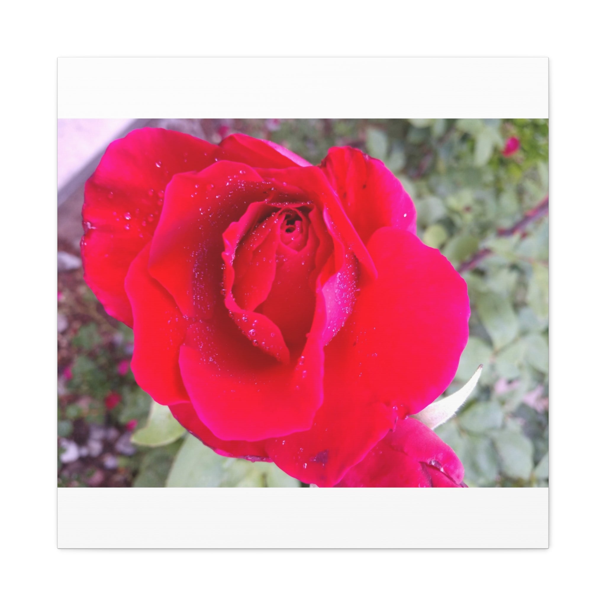 Vibrant Floral Canvas Art, Elegant Wall Decor, Perfect for Home, Gifts, Mother's Day, and Weddings