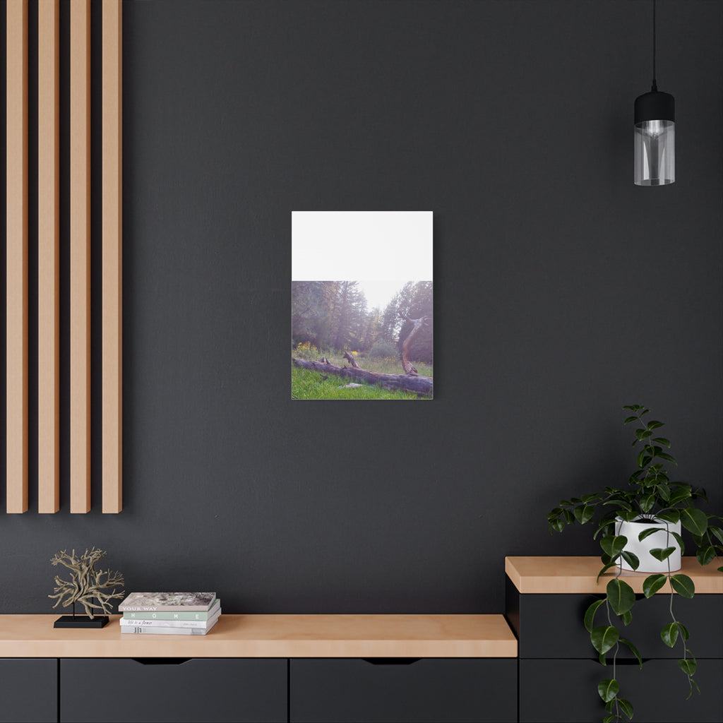 Matte Canvas Wall Art - Serene Nature Scene, Perfect for Home Decor, Gift for Nature Lovers, Office Wall Decoration, Rustic Art Print