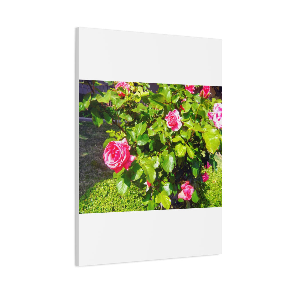 Floral Canvas Wall Art, Pink Rose Decor, Home Gallery Piece, Flower Photography, Garden Wall Decor, Floral Print