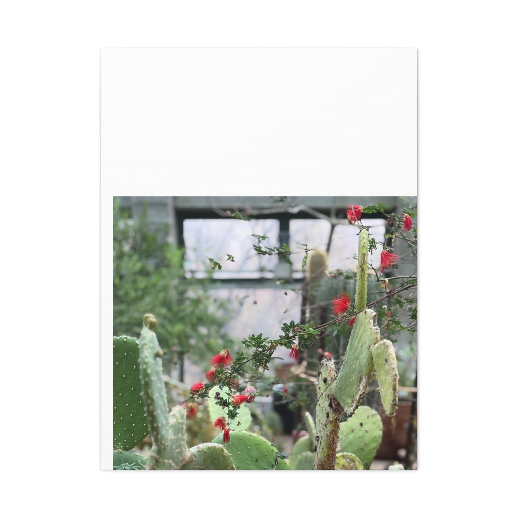 Cactus Wall Art Print, Nature Home Decor, Bohemian Style Artwork, Botanical Gift, Succulent Canvas