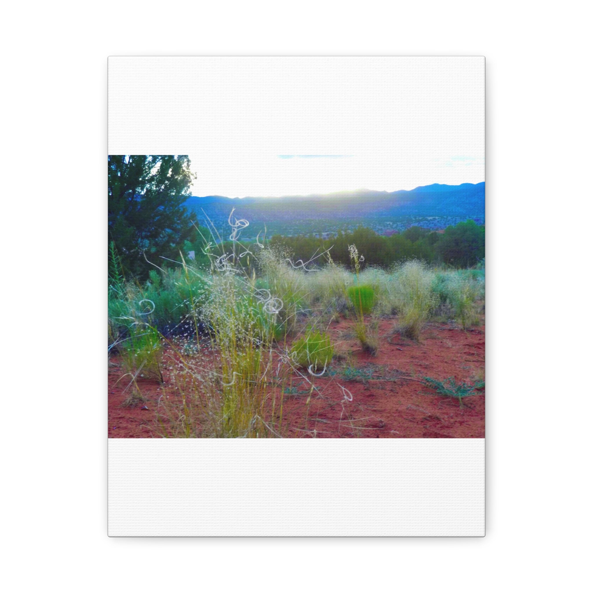 Stretched Canvas Art Print, Nature Wall Decor, Boho Home Decor, Rustic Landscape Art, Gift for Nature Lovers