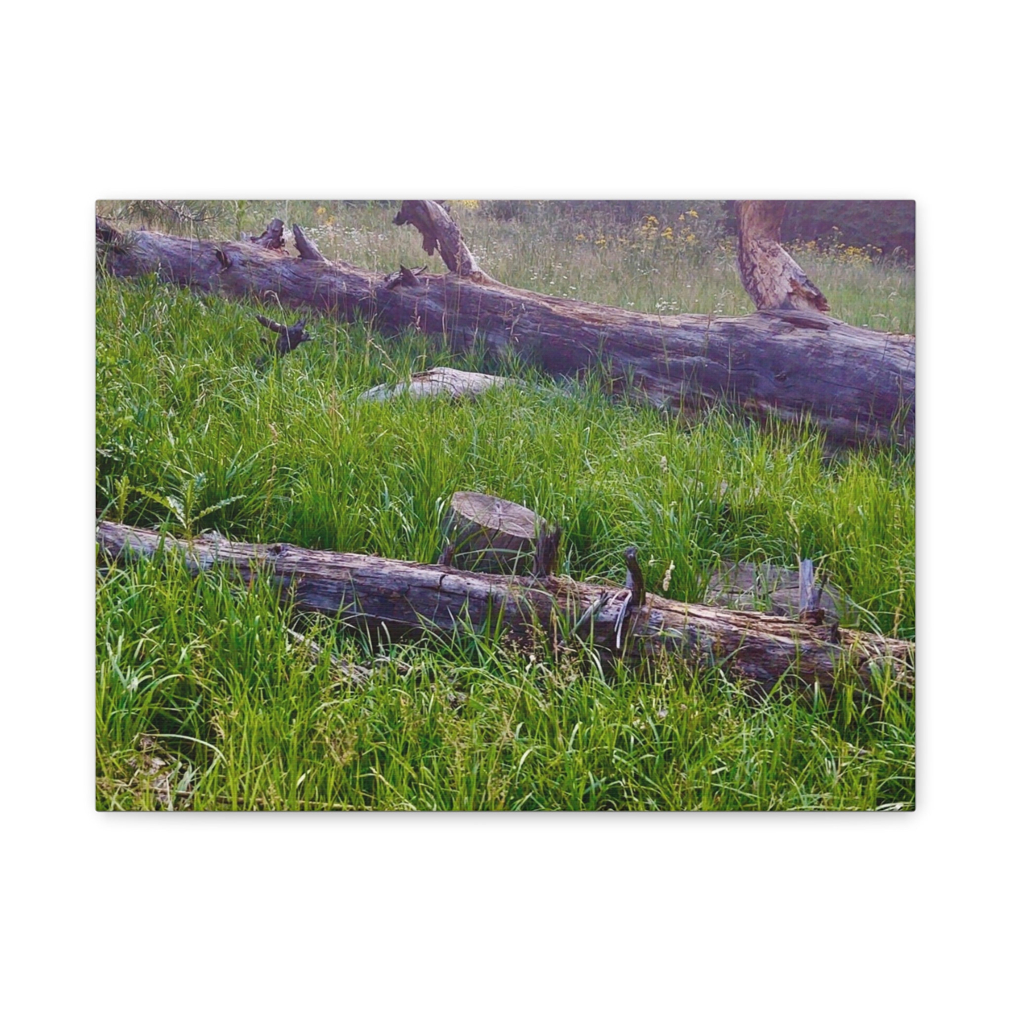 Classic Canvas Wall Art - Nature Decor, Outdoor Wall Hanging, Home Aesthetic, Gift for Nature Lovers, Rustic Cabin Decor