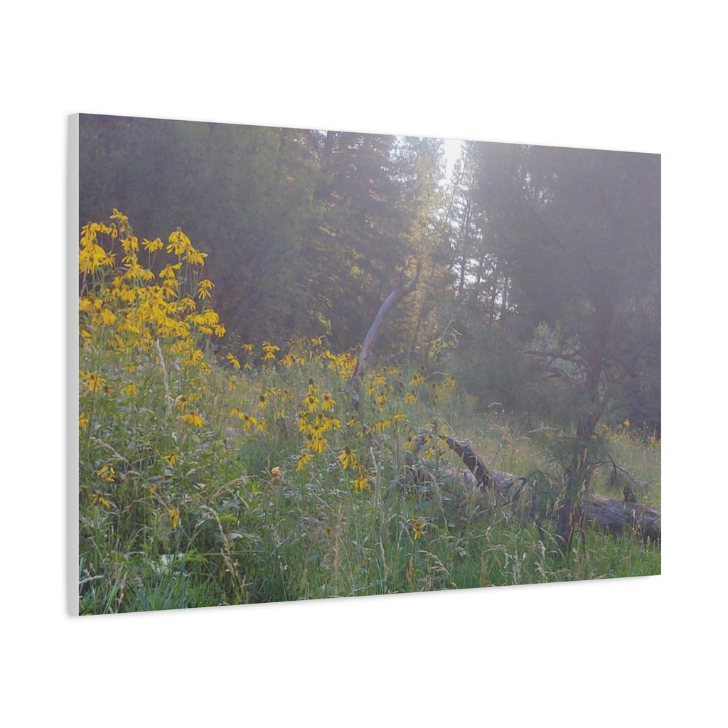 Matte Canvas, Stretched, 1.25"