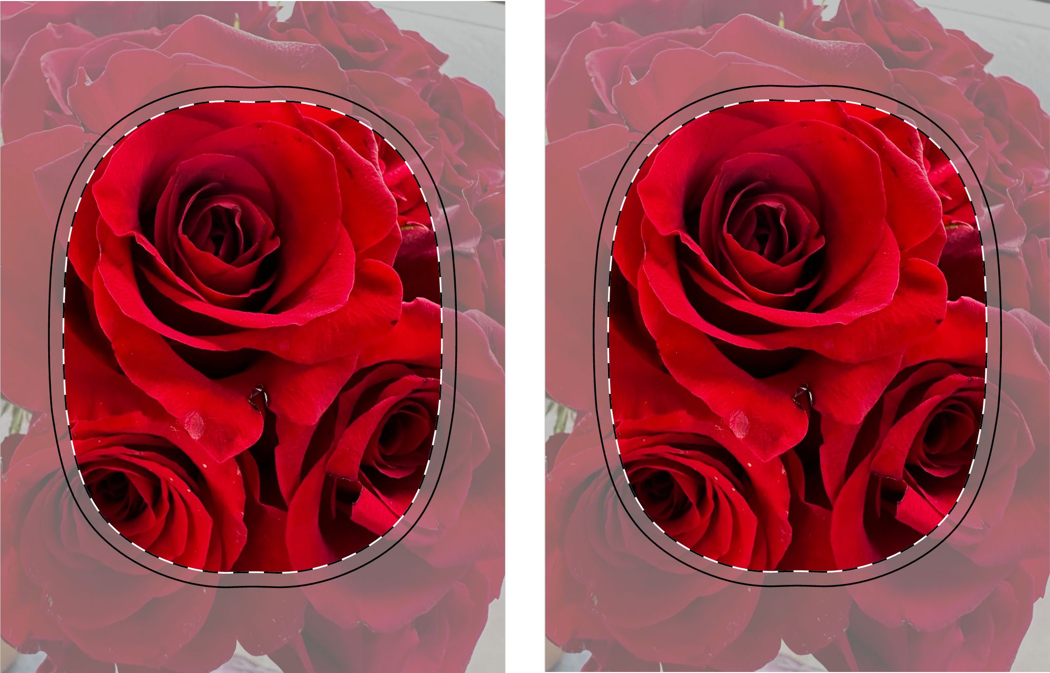 Red Rose AirPods Max Shell Case | Floral Design, Headphone Cover, Gift for Her, Valentine's Day Accessory, Protective AirPods Max Case