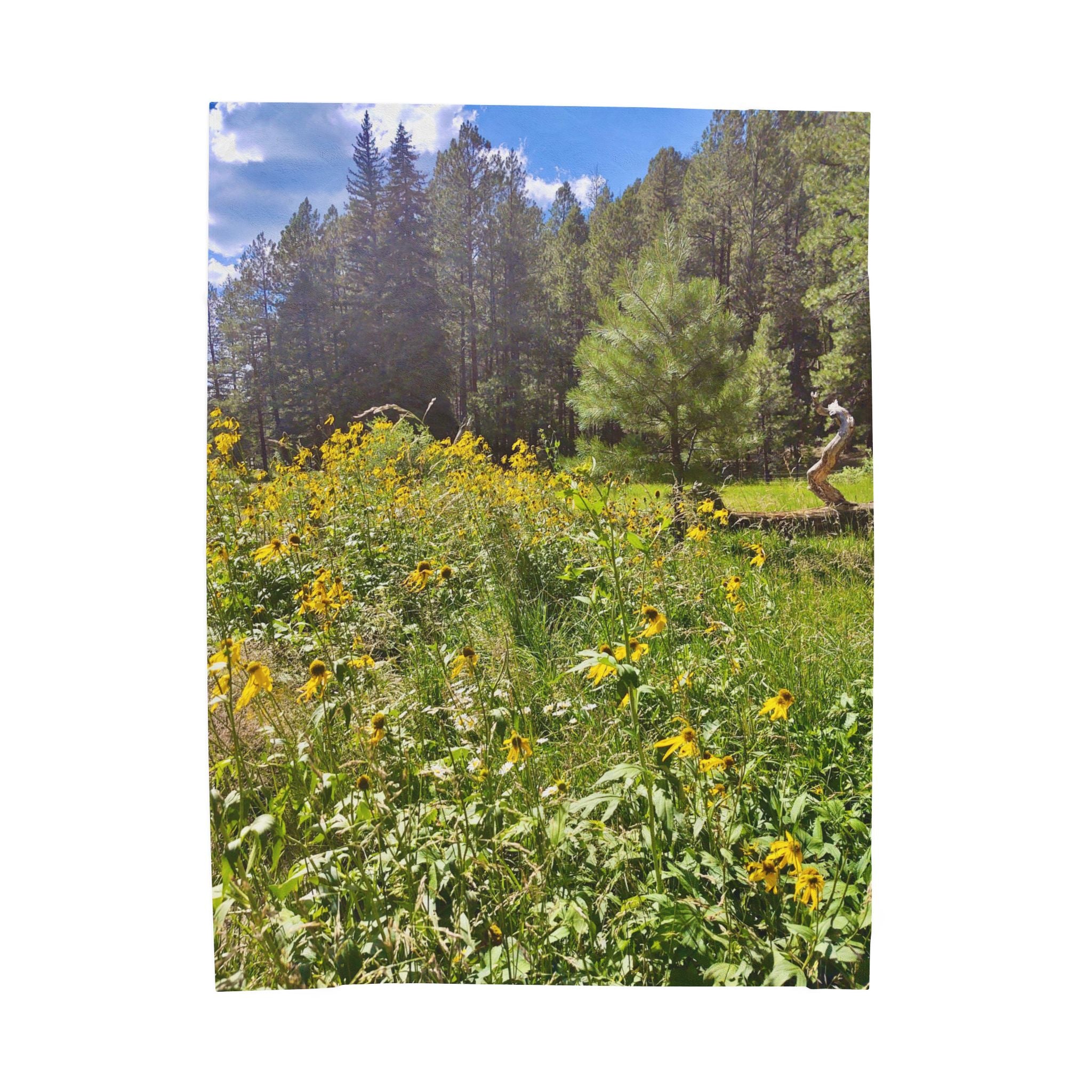 Cozy Floral Velveteen Plush Blanket, Soft Throw for Home Decor, Perfect for Gifts, Picnics, or Cozy Evenings, Nature-Inspired Comfort