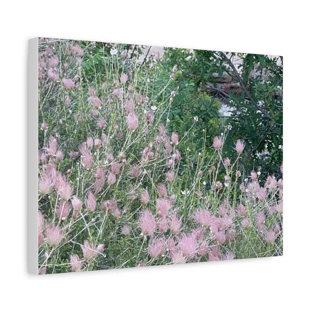 Floral Wall Art Canvas, Home Decor, Nature Lover Gift, Botanical Print, Spring Decor, Mother’s Day