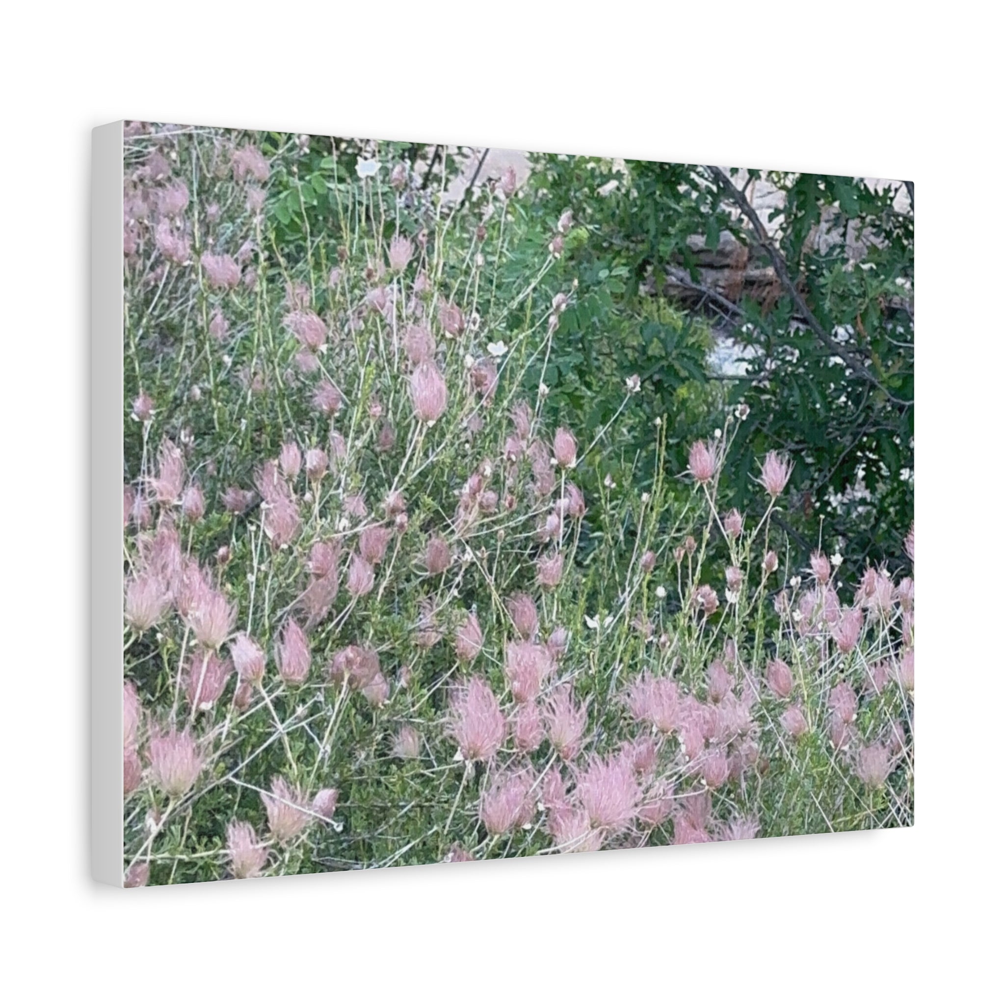 Floral Wall Art Canvas, Home Decor, Nature Lover Gift, Botanical Print, Spring Decor, Mother’s Day