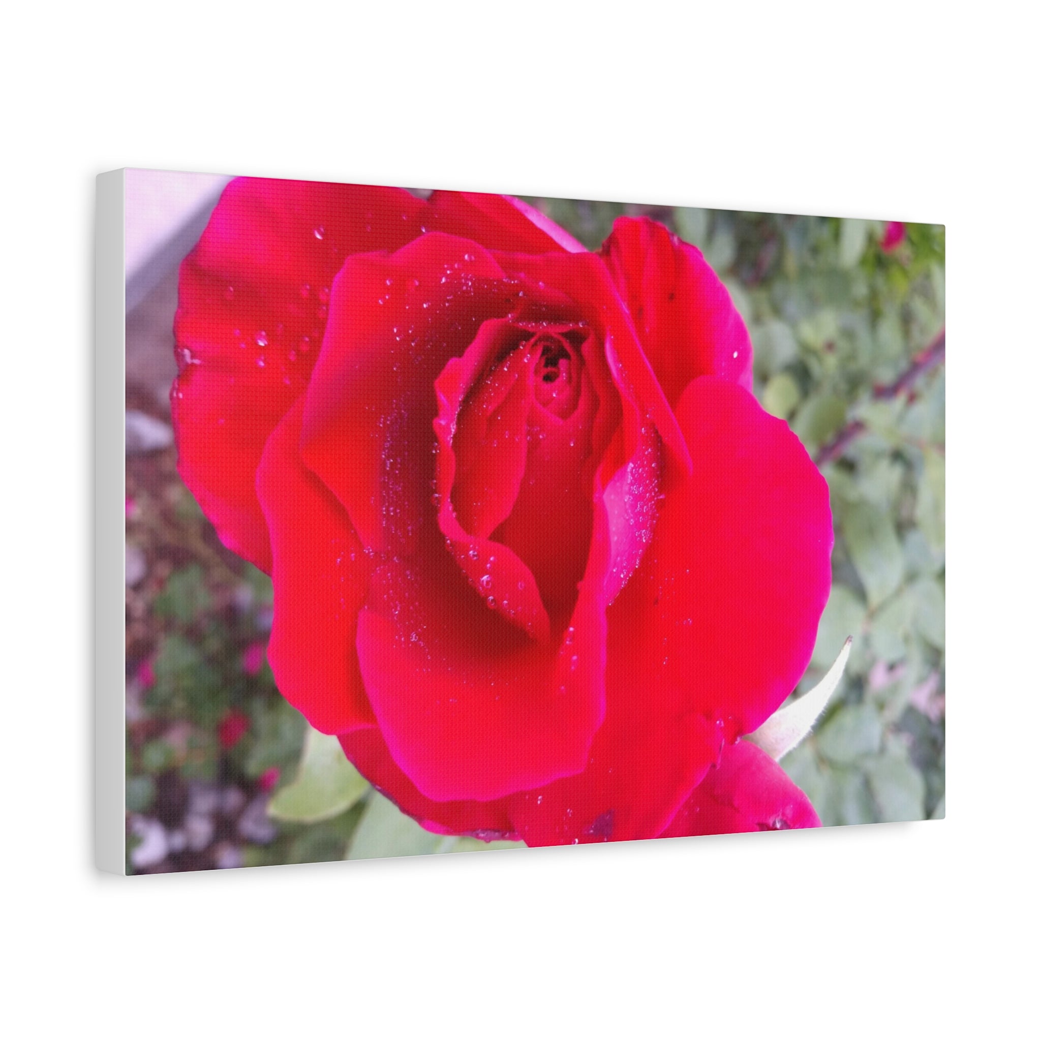 Vibrant Floral Canvas Art, Elegant Wall Decor, Perfect for Home, Gifts, Mother's Day, and Weddings