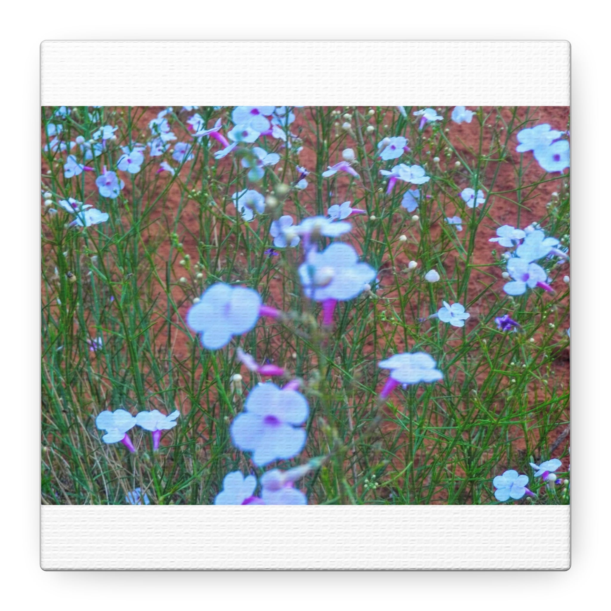 Floral Canvas Wall Art, Home Decor, Wall Hanging, Gift Idea, Nature Art, Flower Print