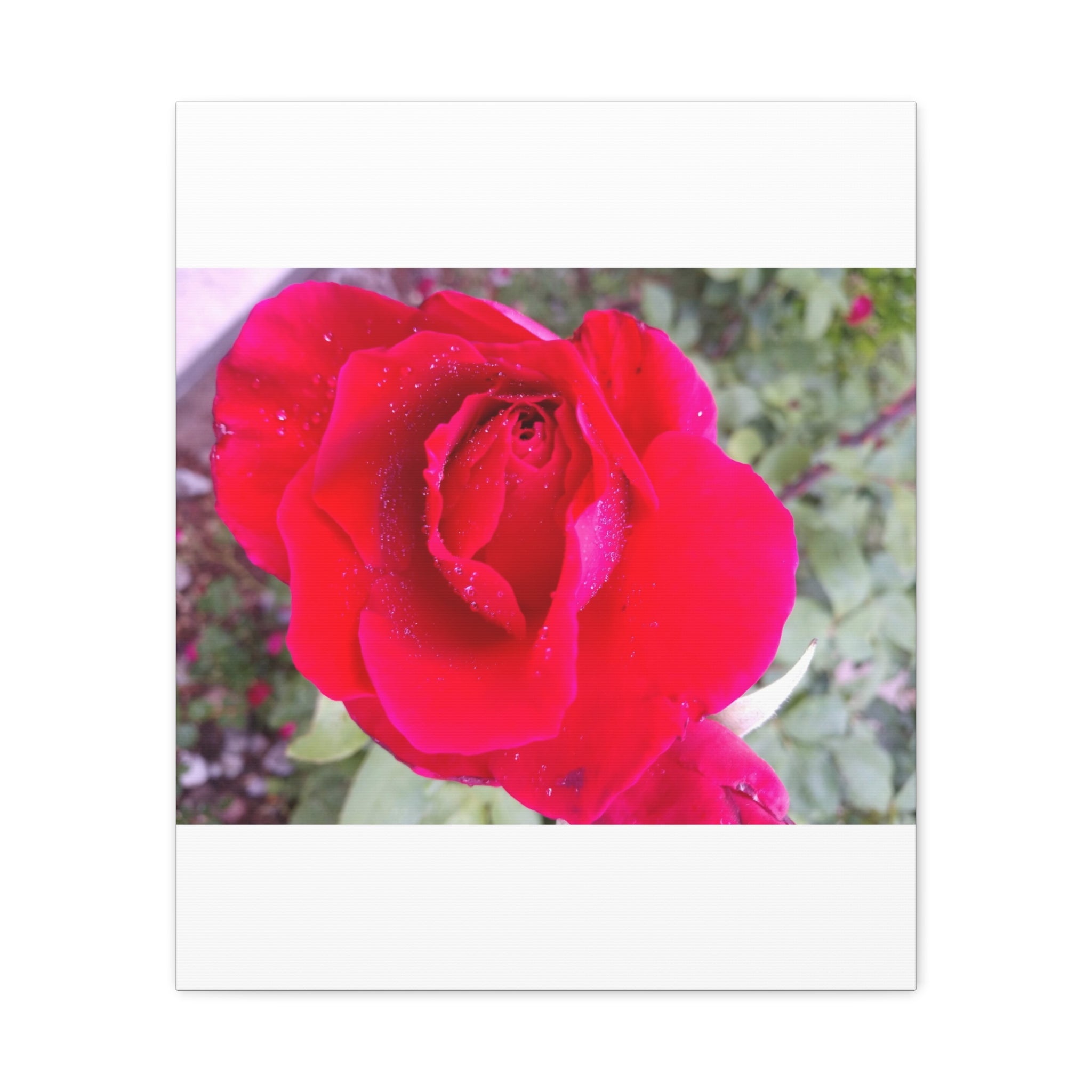 Vibrant Floral Canvas Art, Elegant Wall Decor, Perfect for Home, Gifts, Mother's Day, and Weddings