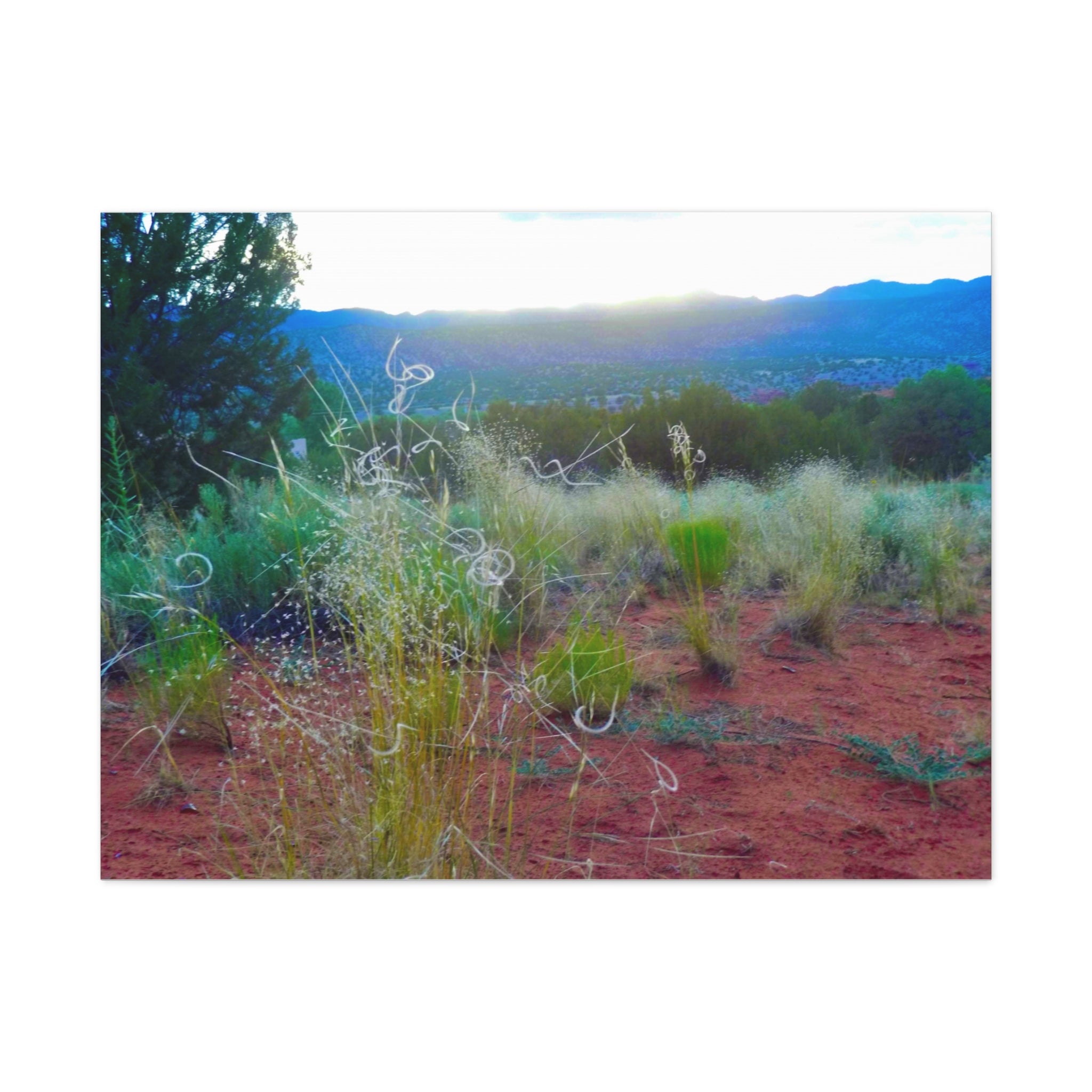 Stretched Canvas Art Print, Nature Wall Decor, Boho Home Decor, Rustic Landscape Art, Gift for Nature Lovers