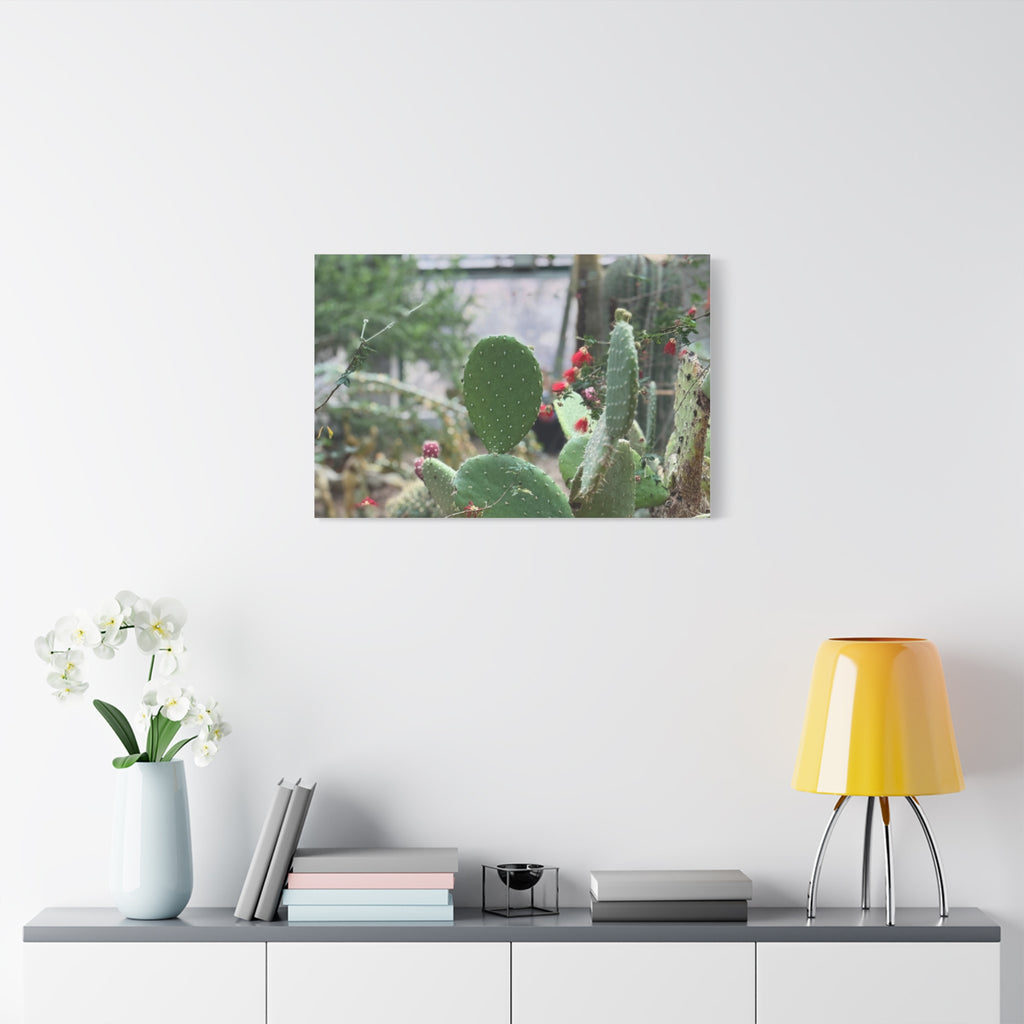 Cactus Matte Canvas Wall Art, Nature Decor, Southwestern Room Design, Green Plant Prints, Home and Office Wall Decor