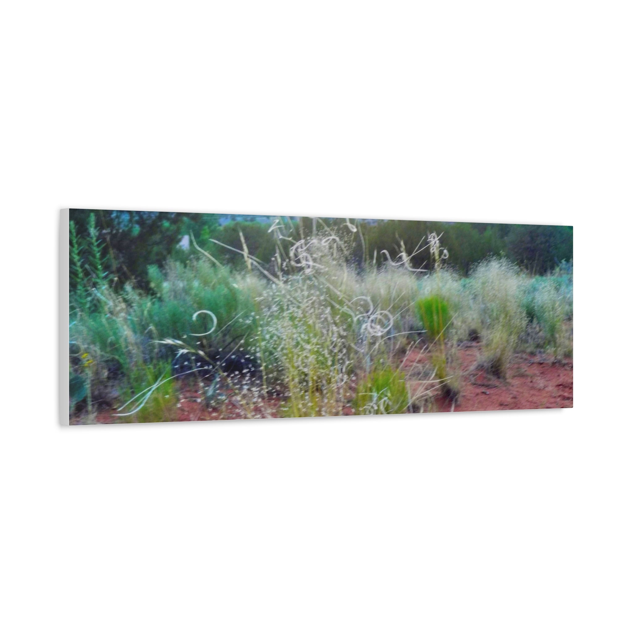 Serene Desert Landscape Canvas Print, Nature Wall Art, Home Decor, Gift for Nature Lovers, Rustic Art for Living Room, Boho Decor