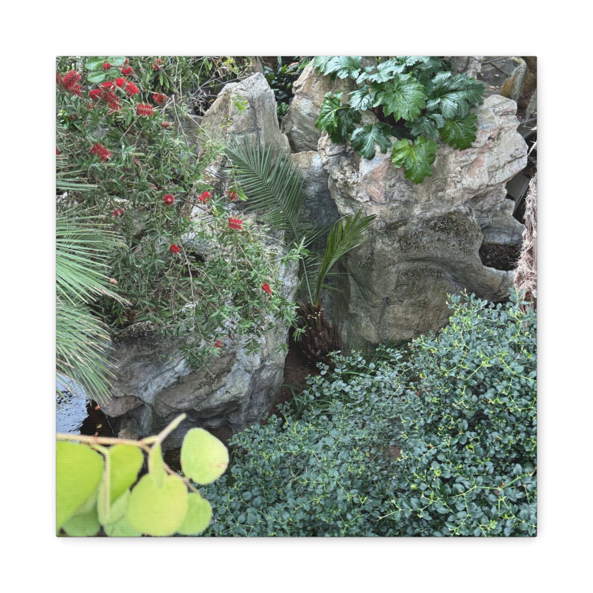 Canvas Wall Art, Tropical Garden Print, Home Decor, Botanical Artwork, Nature Lover Gift, Modern Interior Design