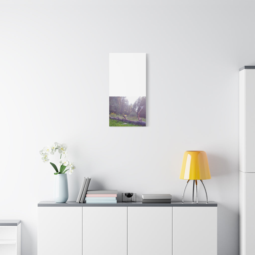 Matte Canvas Wall Art - Serene Nature Scene, Perfect for Home Decor, Gift for Nature Lovers, Office Wall Decoration, Rustic Art Print