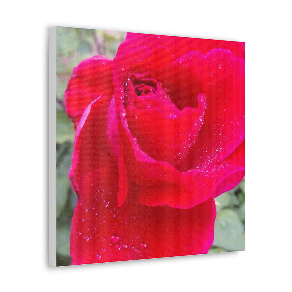 Stunning Floral Canvas Print, Home Decor, Wall Art, Gift for Flower Lovers, Red Rose Art, Mother's Day Gift