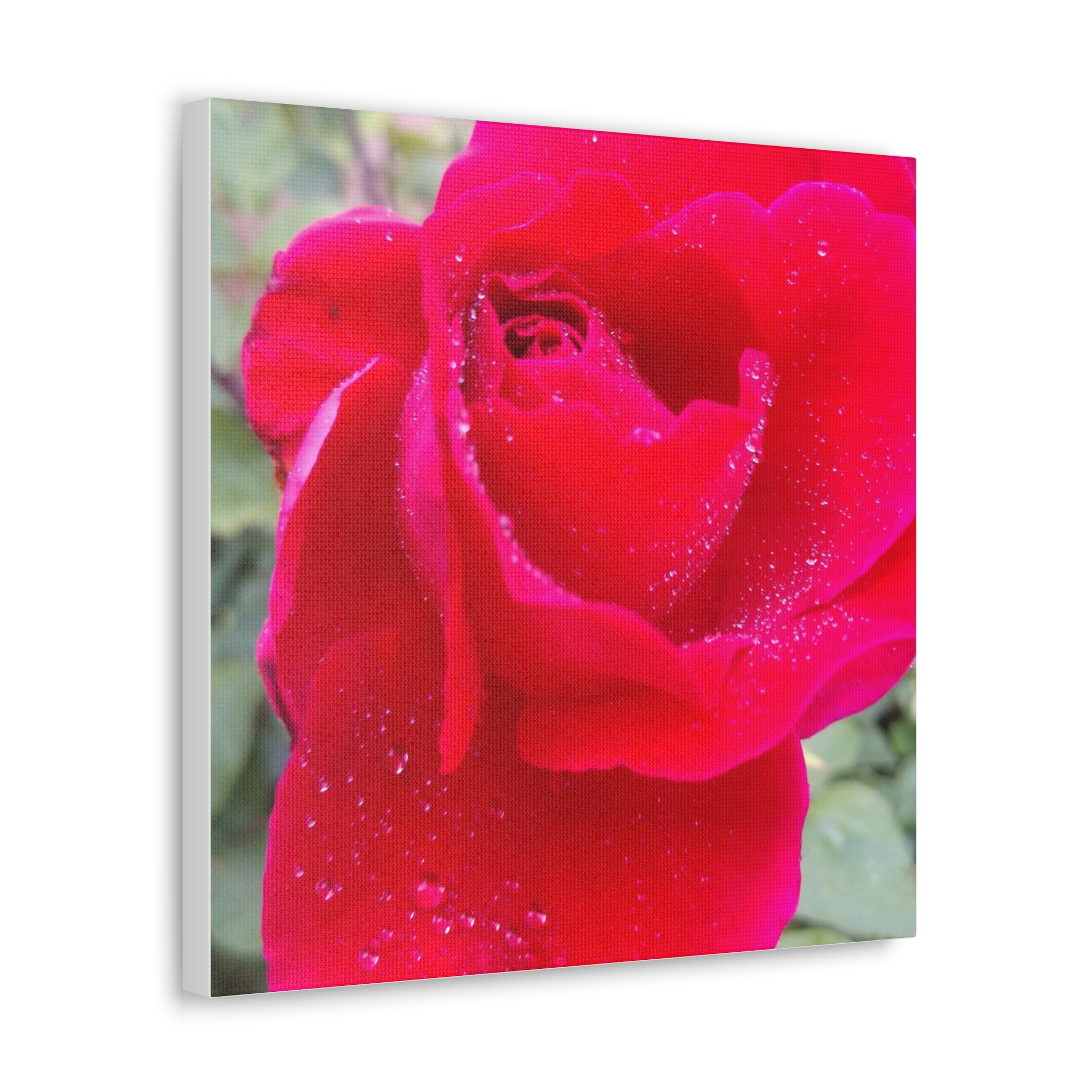 Stunning Floral Canvas Print, Home Decor, Wall Art, Gift for Flower Lovers, Red Rose Art, Mother's Day Gift