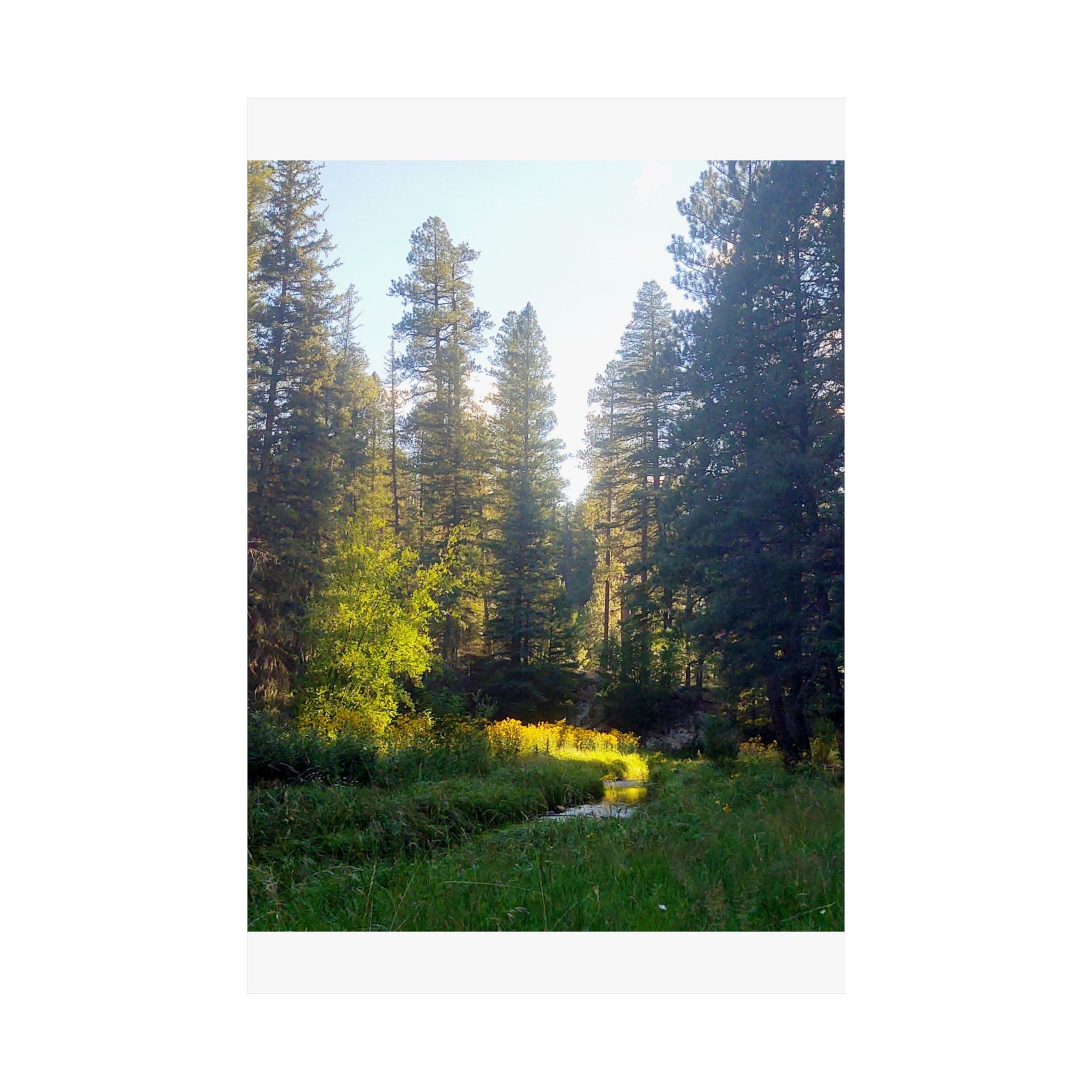 Serene Nature Poster, Wall Art Print, Forest Decor, Botanical Photography, Home Office Artwork