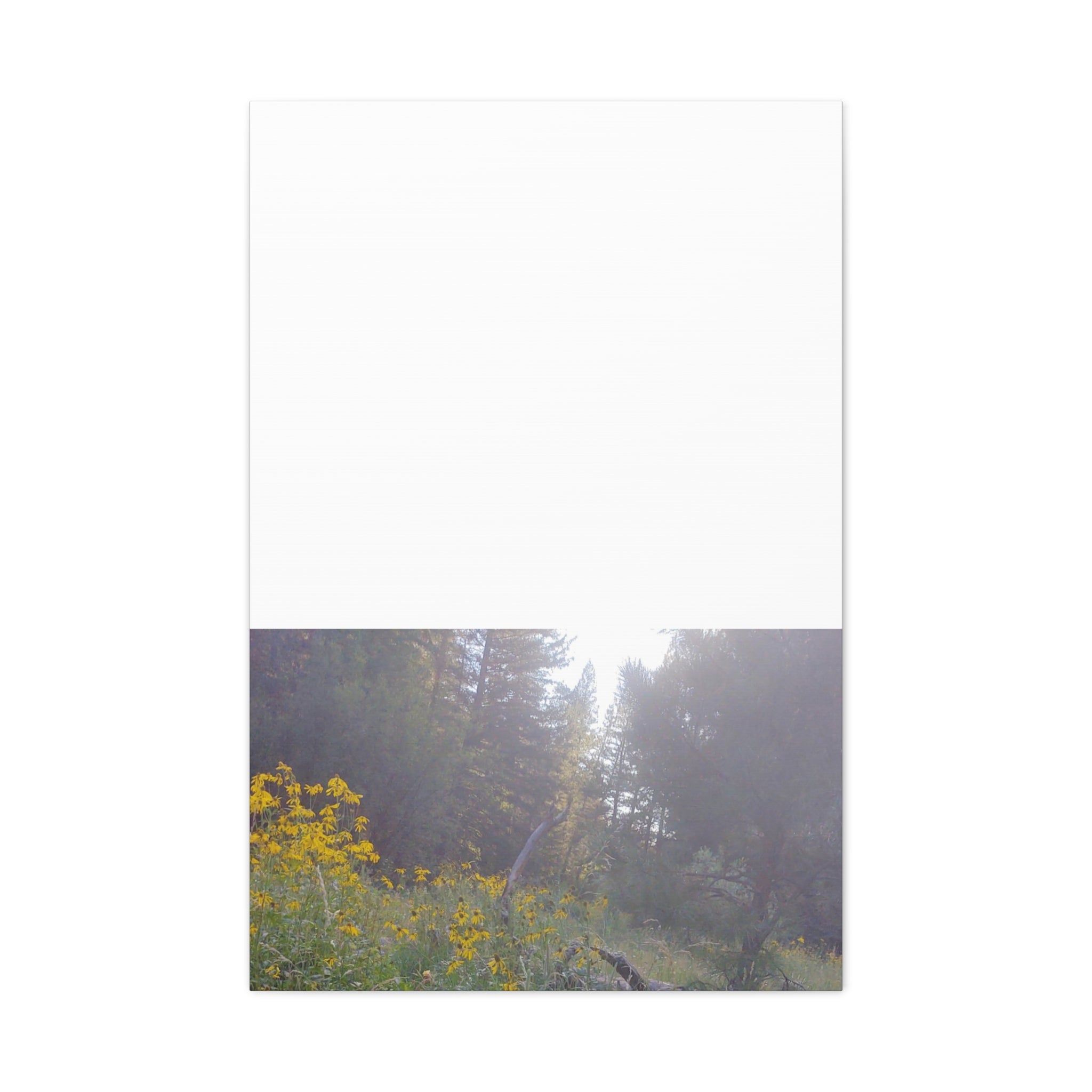 Matte Canvas, Stretched, 1.25"