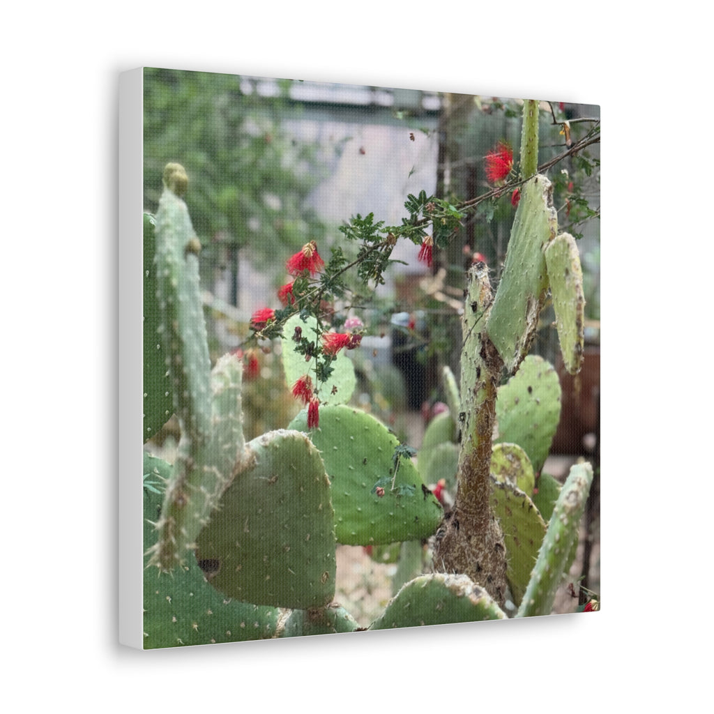 Cactus Artwork Print, Botanical Wall Decor, Succulent Canvas, Nature Lover Gift, Home Decoration