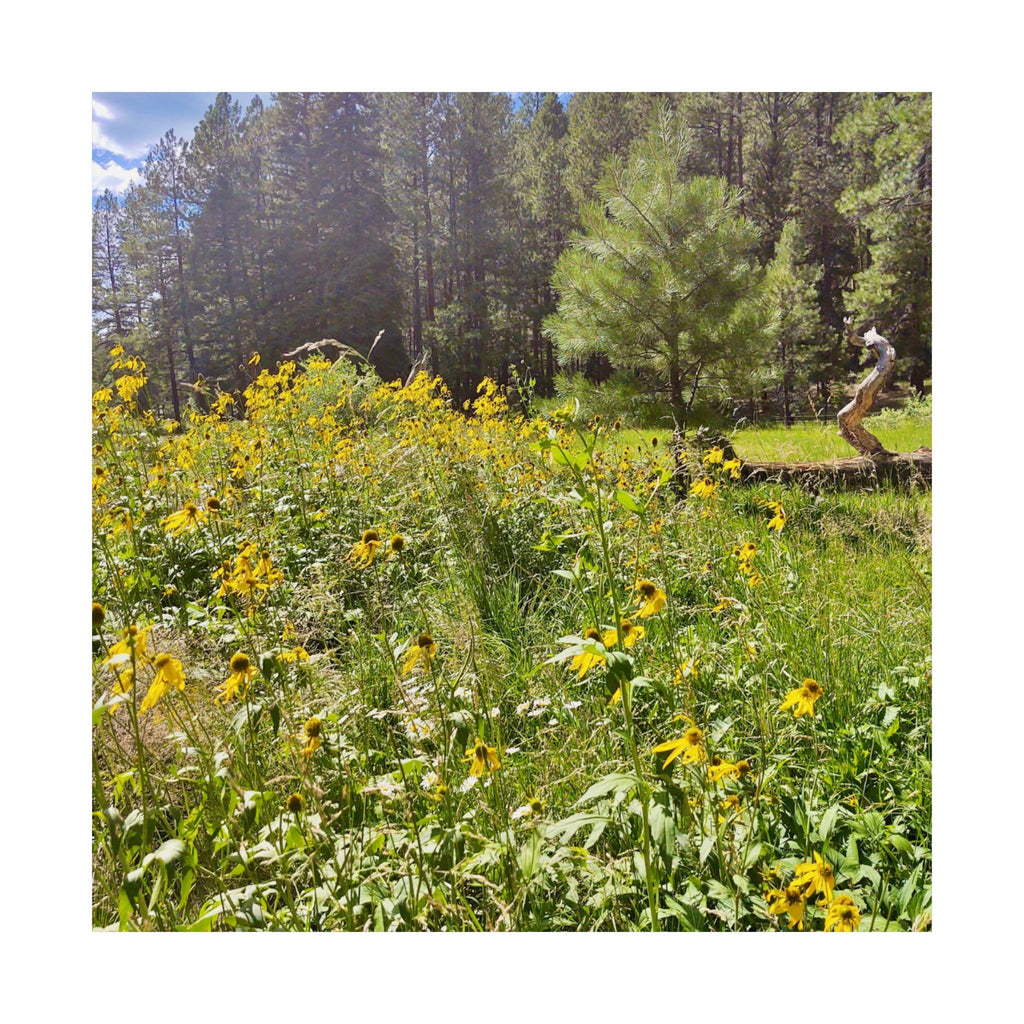 Nature-Inspired Matte Vertical Posters, Floral Wall Art, Home Decor, Gift for Nature Lovers, Botanical Print, Office Decoration