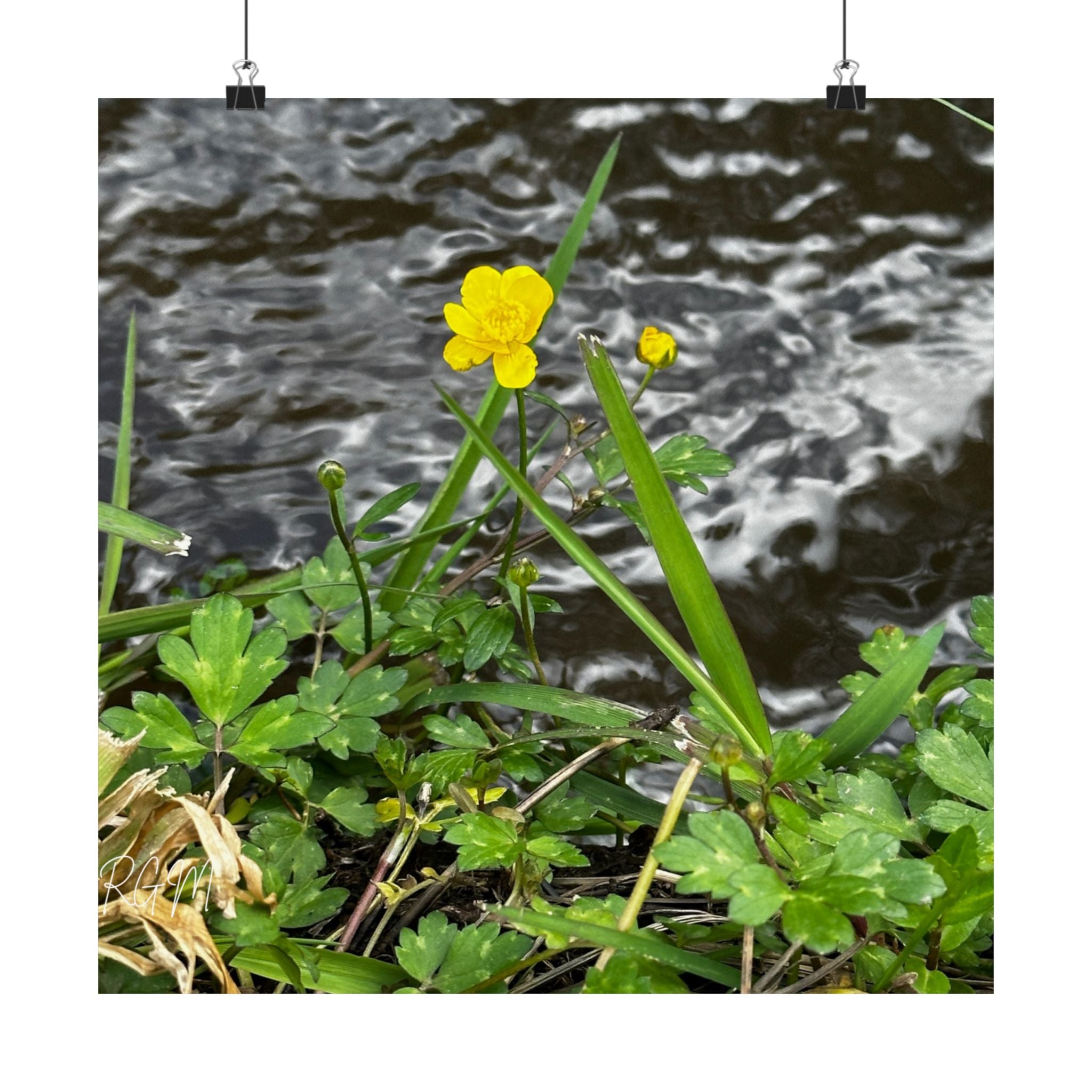 Nature-Inspired Matte Vertical Posters | Vibrant Floral Art for Home Decor, Gift for Nature Lovers, Wall Art, Eco-Friendly Decor