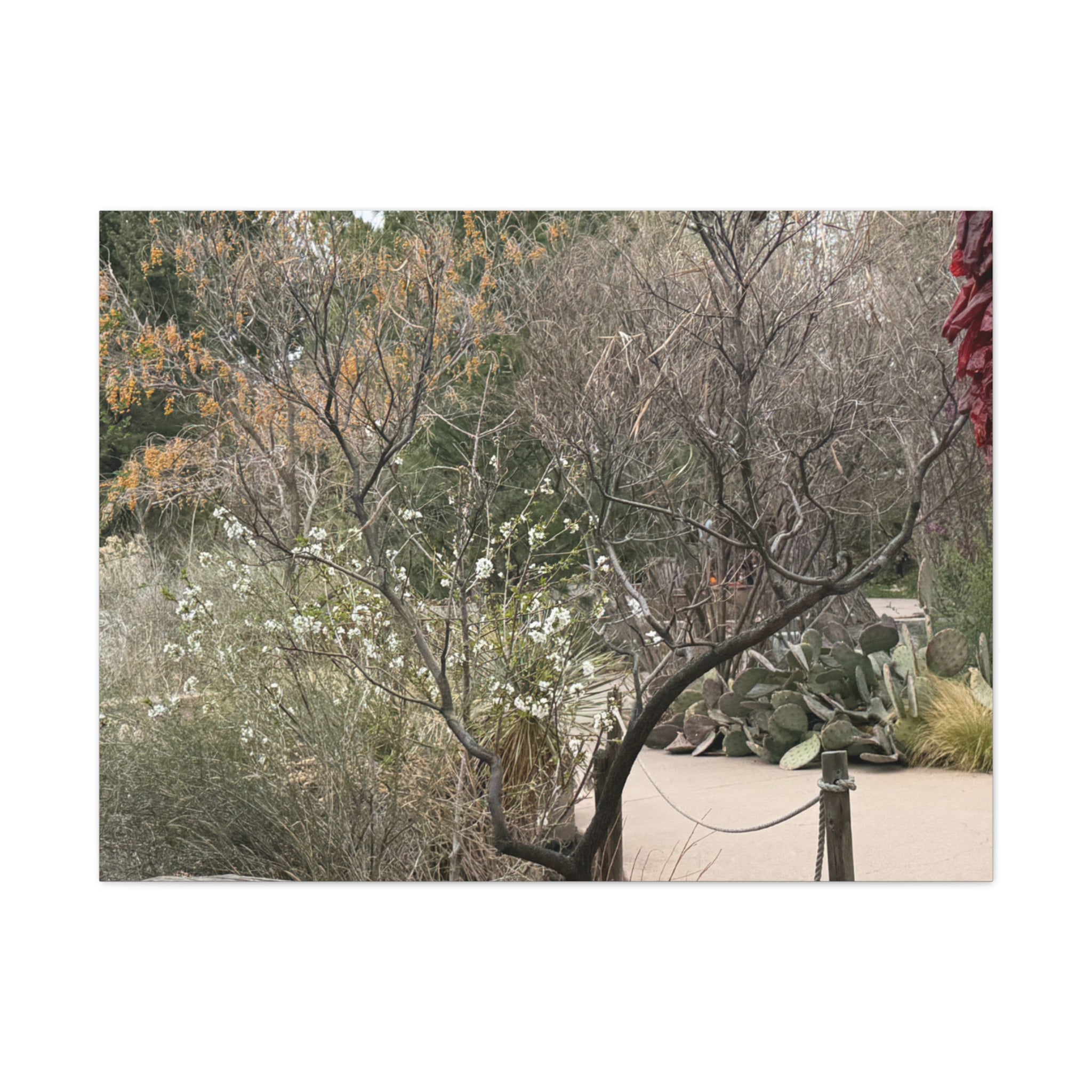 Classic Canvas Art Print, Bohemian Decor, Nature Wall Art, Home Gallery, Rustic Wall Decoration