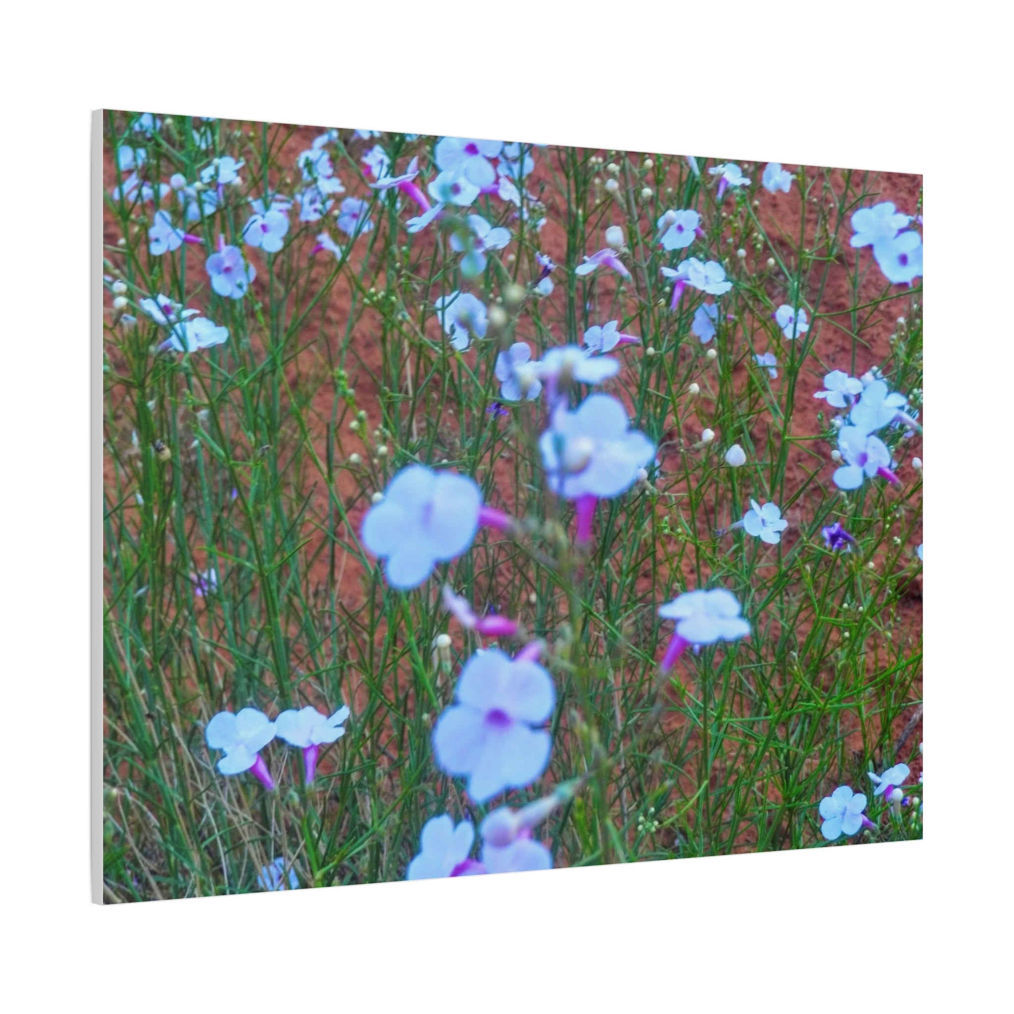 Floral Canvas Wall Art, Home Decor, Wall Hanging, Gift Idea, Nature Art, Flower Print