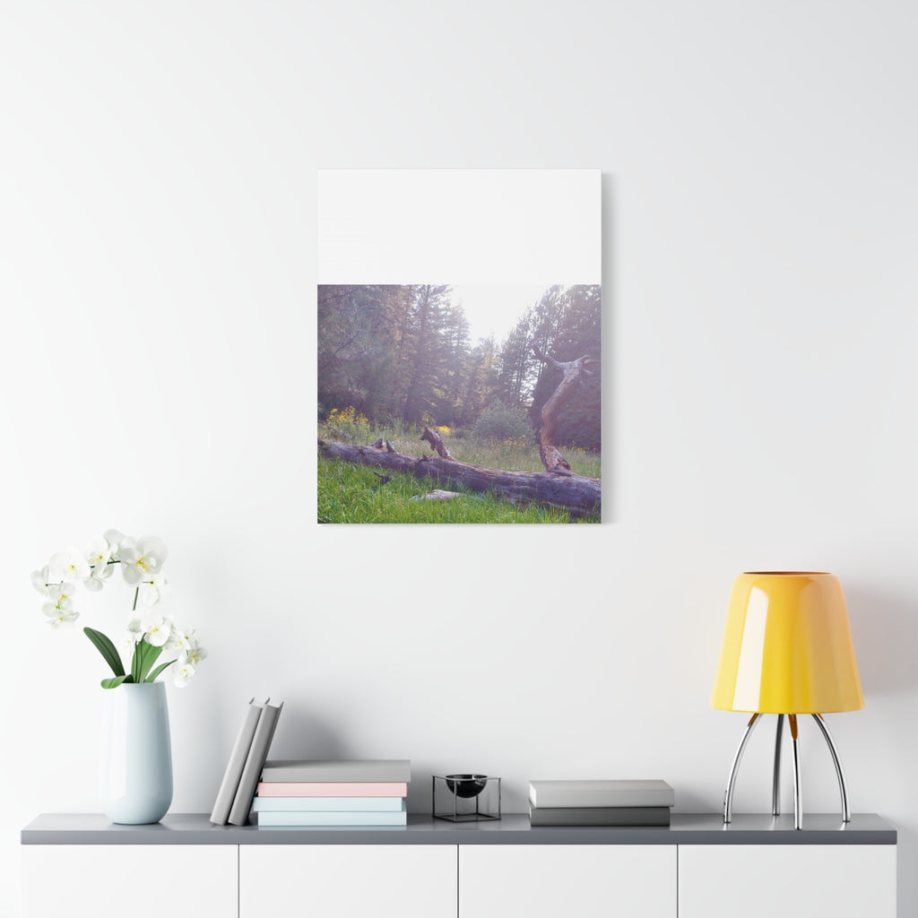 Matte Canvas Wall Art - Serene Nature Scene, Perfect for Home Decor, Gift for Nature Lovers, Office Wall Decoration, Rustic Art Print