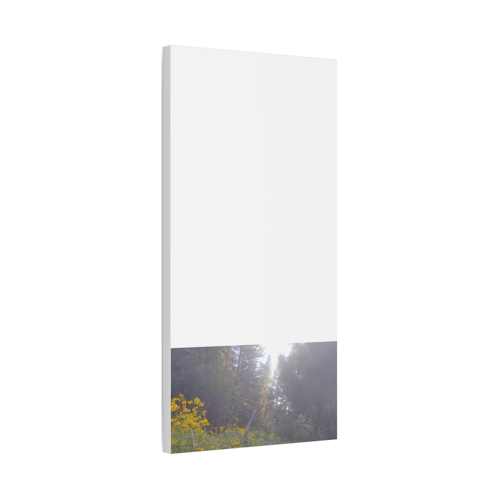 Matte Canvas, Stretched, 1.25"