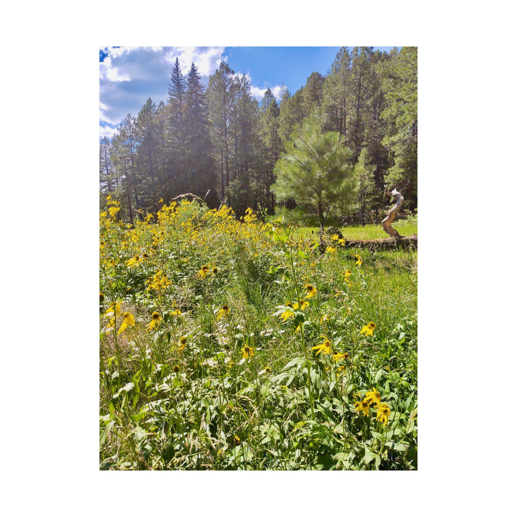 Nature-Inspired Matte Vertical Posters, Floral Wall Art, Home Decor, Gift for Nature Lovers, Botanical Print, Office Decoration