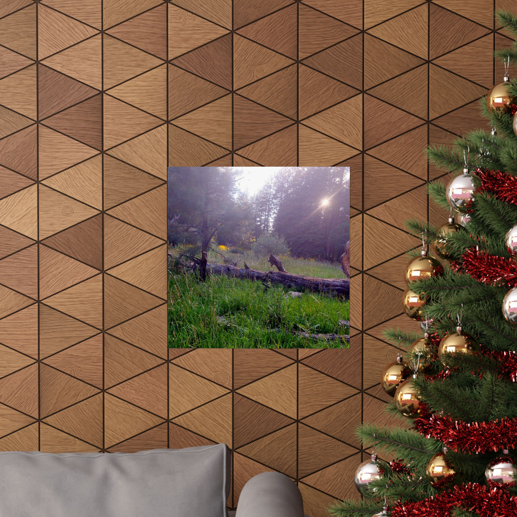 Nature-Inspired Matte Vertical Posters for Home Décor, Unique Wall Art Prints, Botanical Print Collection, Gifts for Nature Lovers, [...]