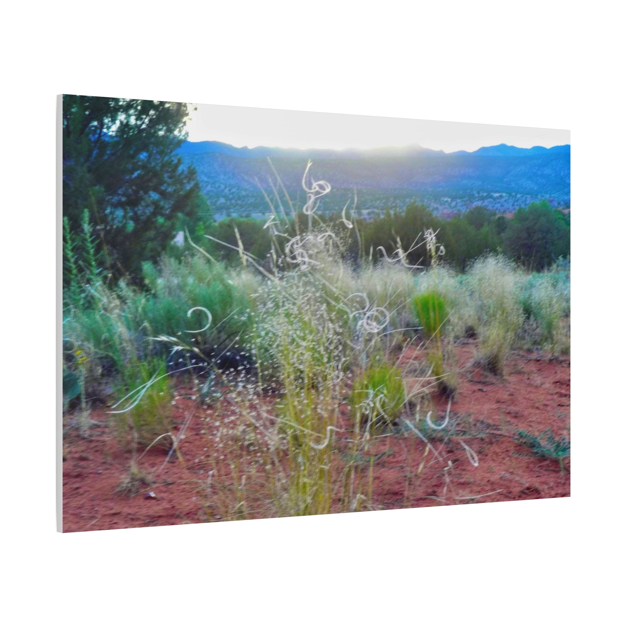 Serene Desert Landscape Canvas Print, Nature Wall Art, Home Decor, Gift for Nature Lovers, Rustic Art for Living Room, Boho Decor