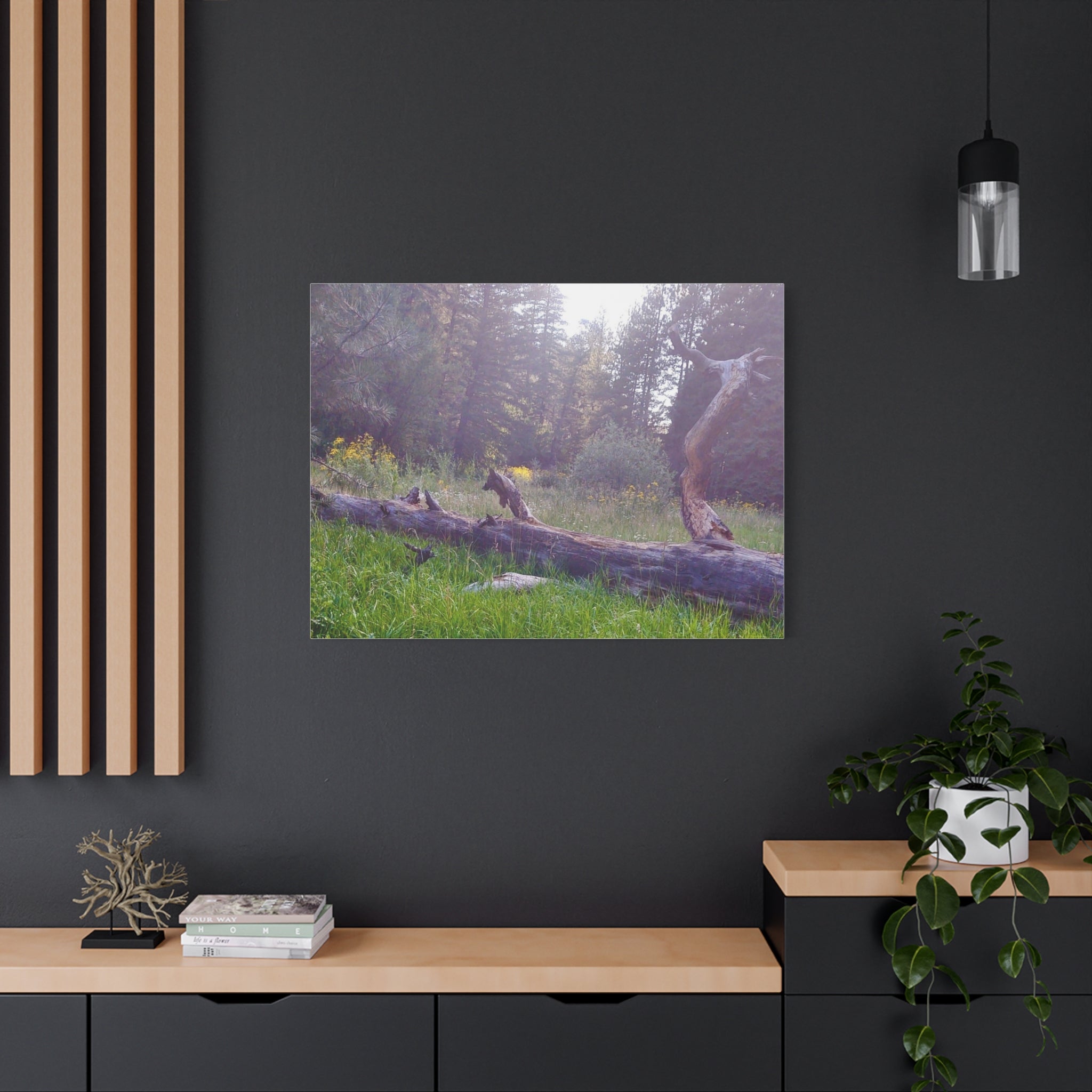 Matte Canvas Wall Art - Serene Nature Scene, Perfect for Home Decor, Gift for Nature Lovers, Office Wall Decoration, Rustic Art Print