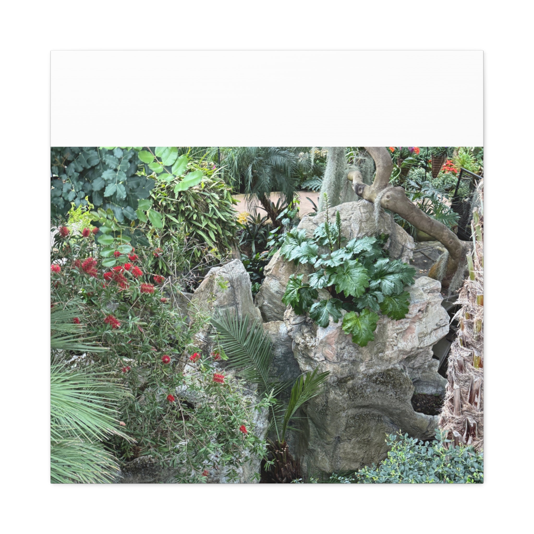 Garden Landscape Canvas Wall Art, Nature Decor, Home Decoration, Gift for Nature Lovers, Eco-Friendly Art, Botanical Wall Decor