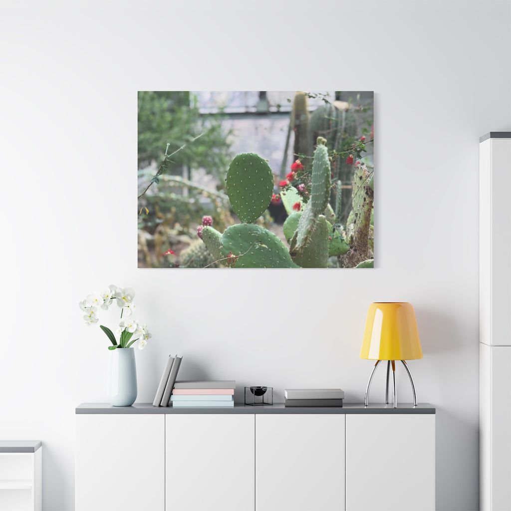Cactus Matte Canvas Wall Art, Nature Decor, Southwestern Room Design, Green Plant Prints, Home and Office Wall Decor