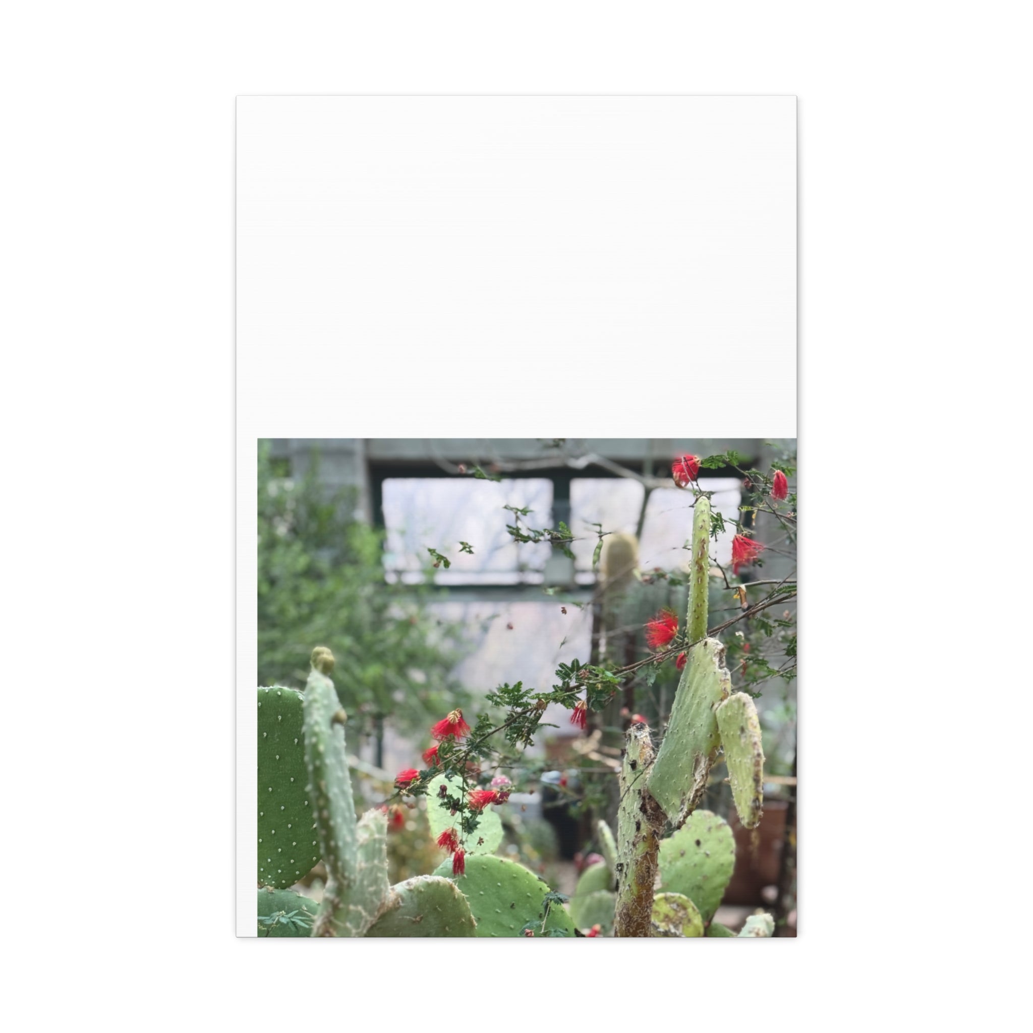 Cactus Wall Art Print, Nature Home Decor, Bohemian Style Artwork, Botanical Gift, Succulent Canvas