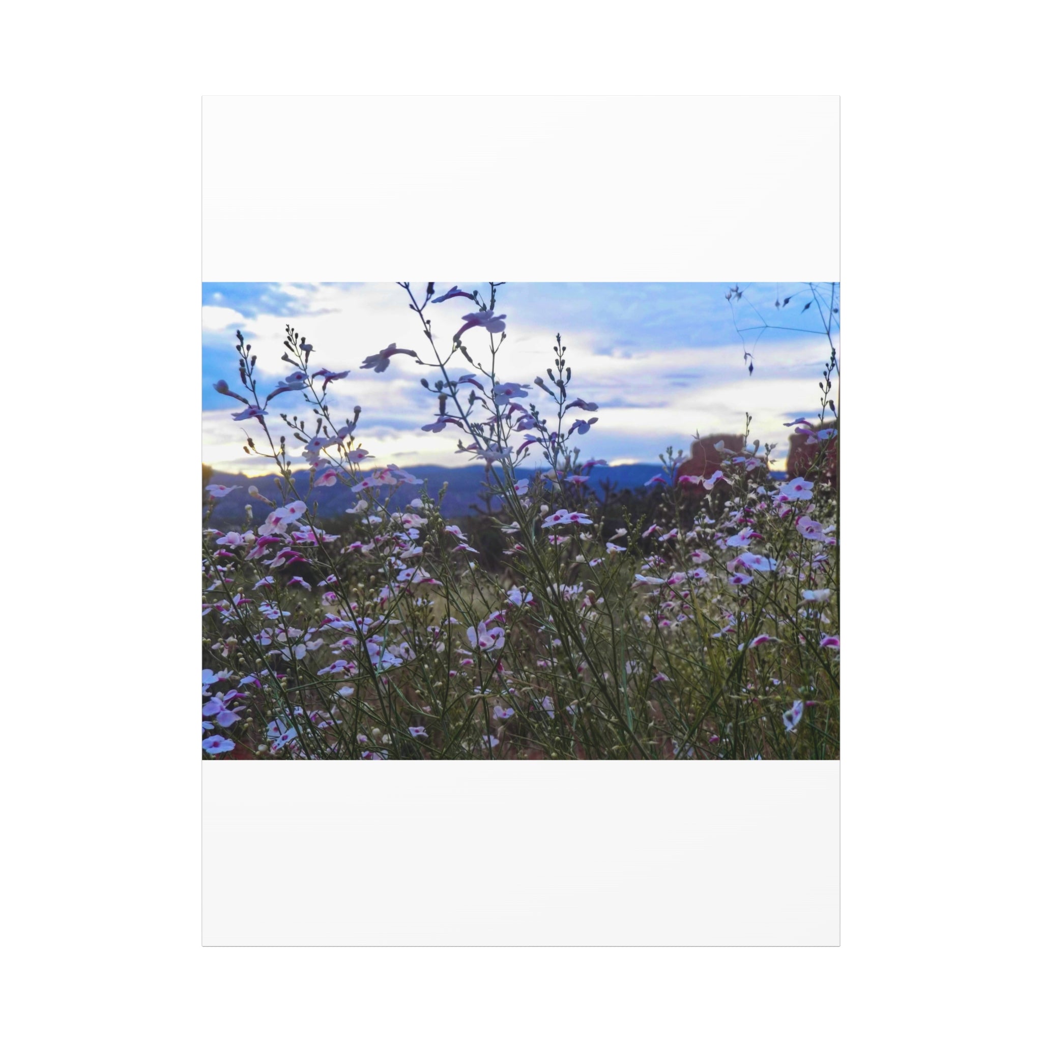 Floral Wall Art Canvas, Nature-Inspired Home Decor, Flower Print, Rustic Living Room, Gift for Gardeners, Boho Wall Art