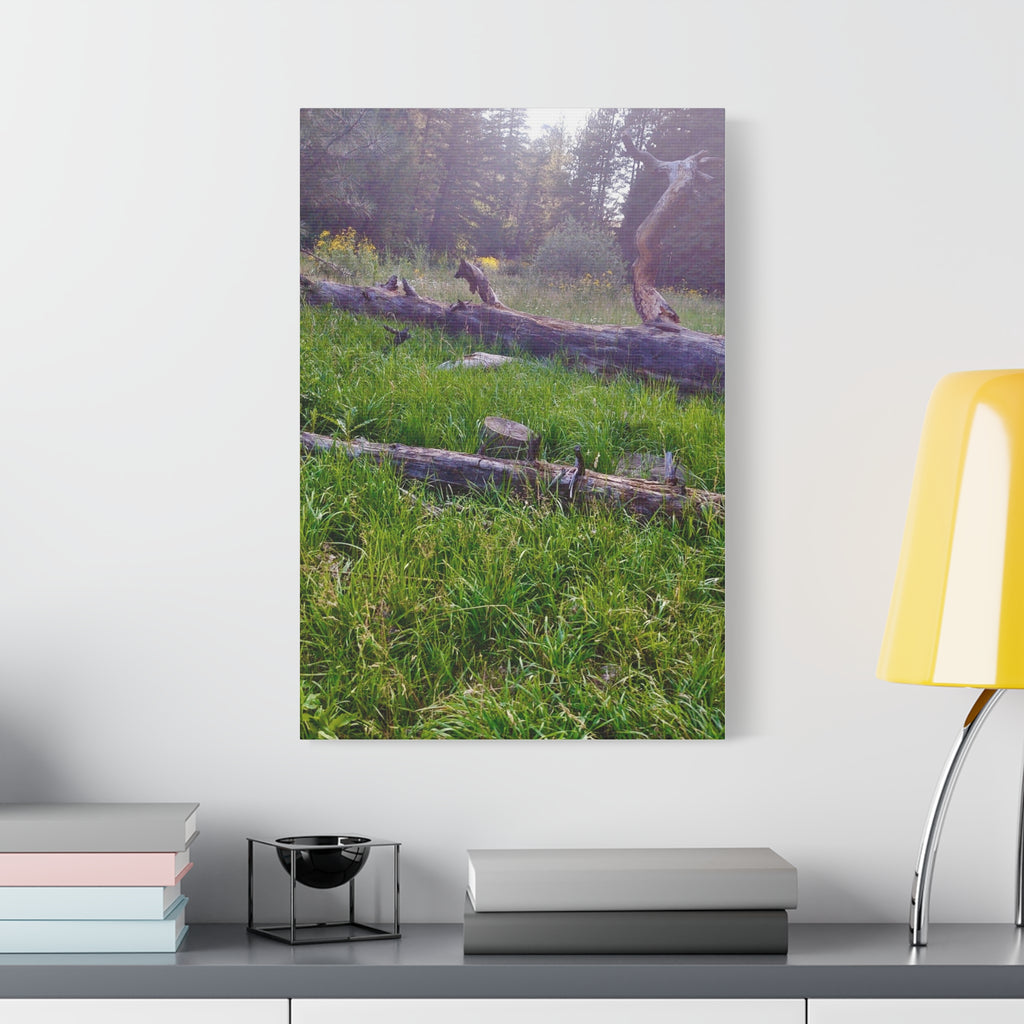 Classic Canvas Wall Art - Nature Decor, Outdoor Wall Hanging, Home Aesthetic, Gift for Nature Lovers, Rustic Cabin Decor