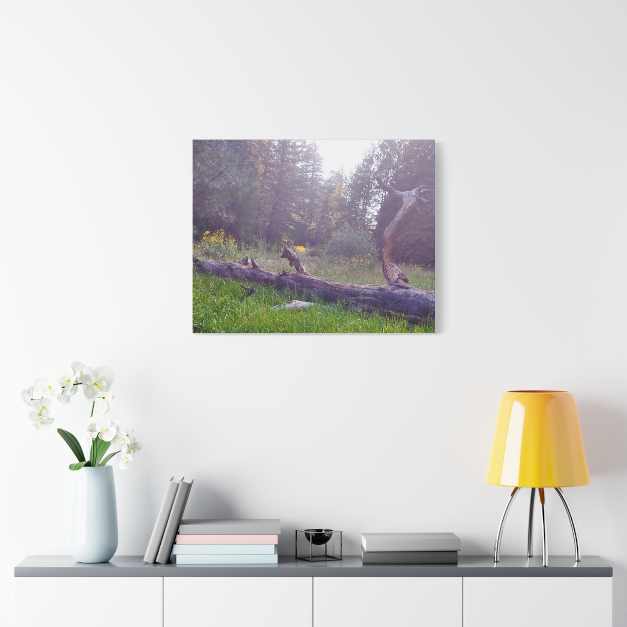 Matte Canvas Wall Art - Serene Nature Scene, Perfect for Home Decor, Gift for Nature Lovers, Office Wall Decoration, Rustic Art Print