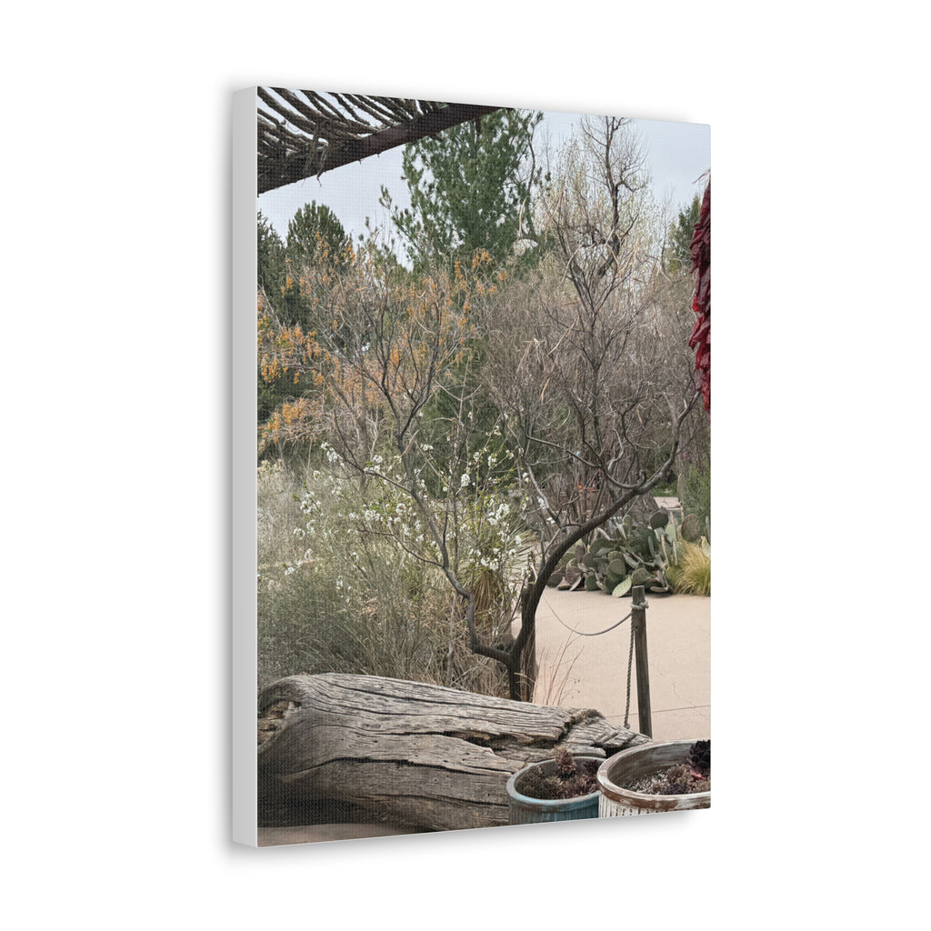 Classic Canvas Art Print, Bohemian Decor, Nature Wall Art, Home Gallery, Rustic Wall Decoration