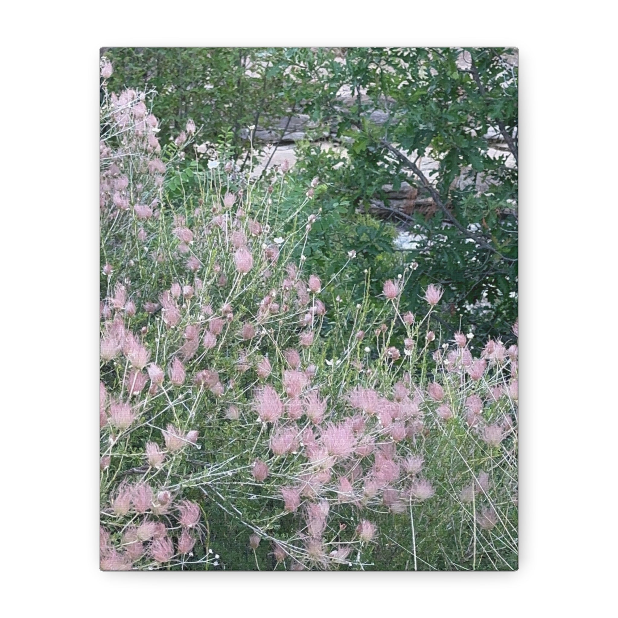 Floral Wall Art Canvas, Home Decor, Nature Lover Gift, Botanical Print, Spring Decor, Mother’s Day